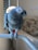A grey parrot with striking plumage perched on a light-colored metal bar. Its beak is slightly open, and bright eyes suggest alertness. In the background, a cozy room is visible with a soft brown sofa and a circular light fixture near the window, partially covered by blinds.