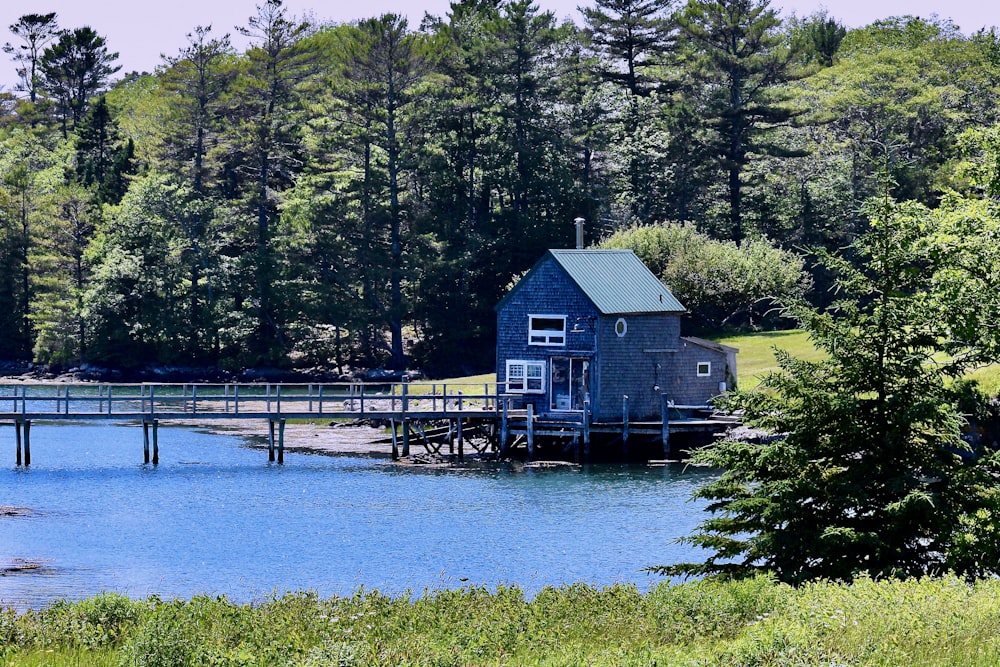 a blue house sitting on top of a lake next to a forest