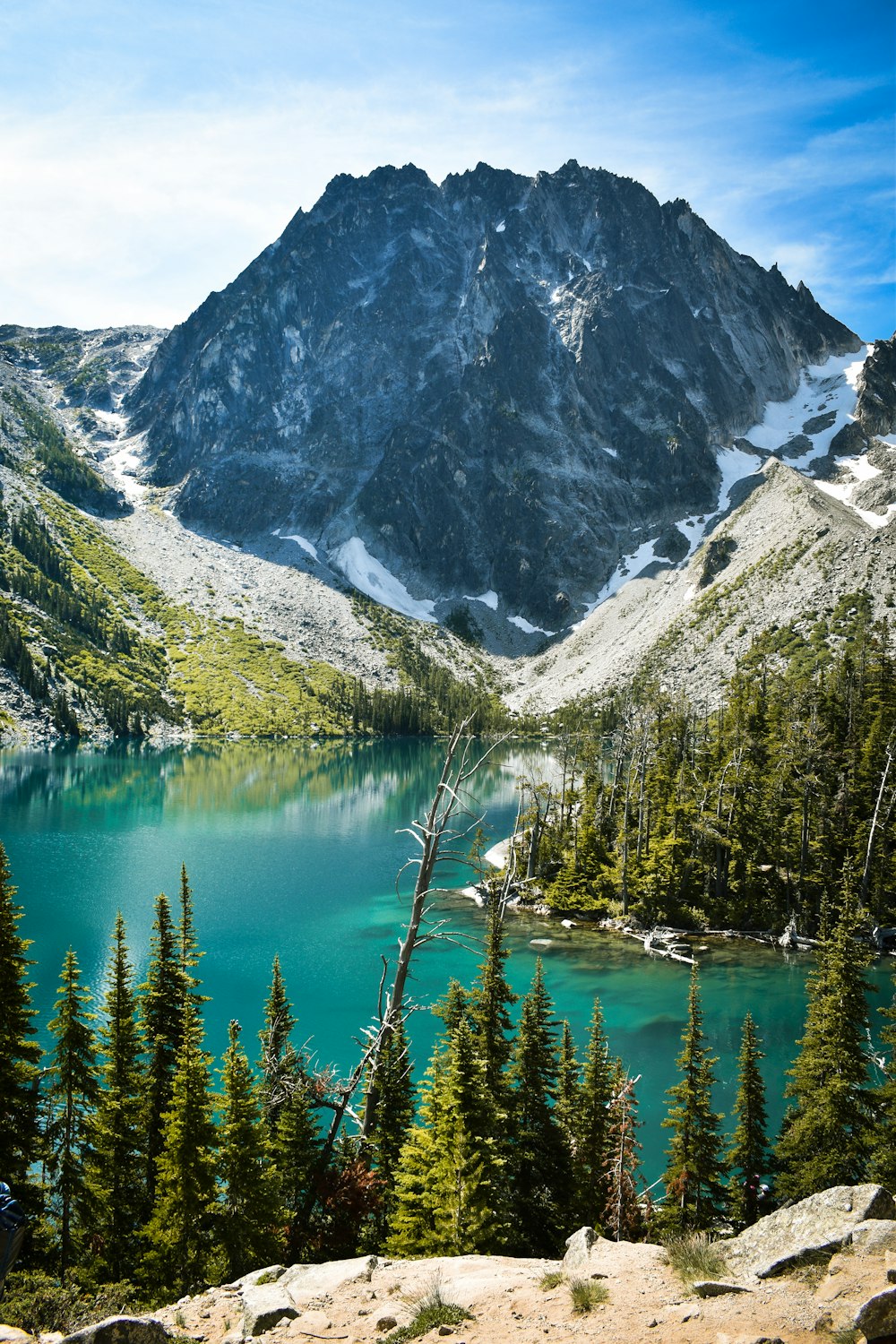 una vista di un lago di montagna circondato da alberi di pino