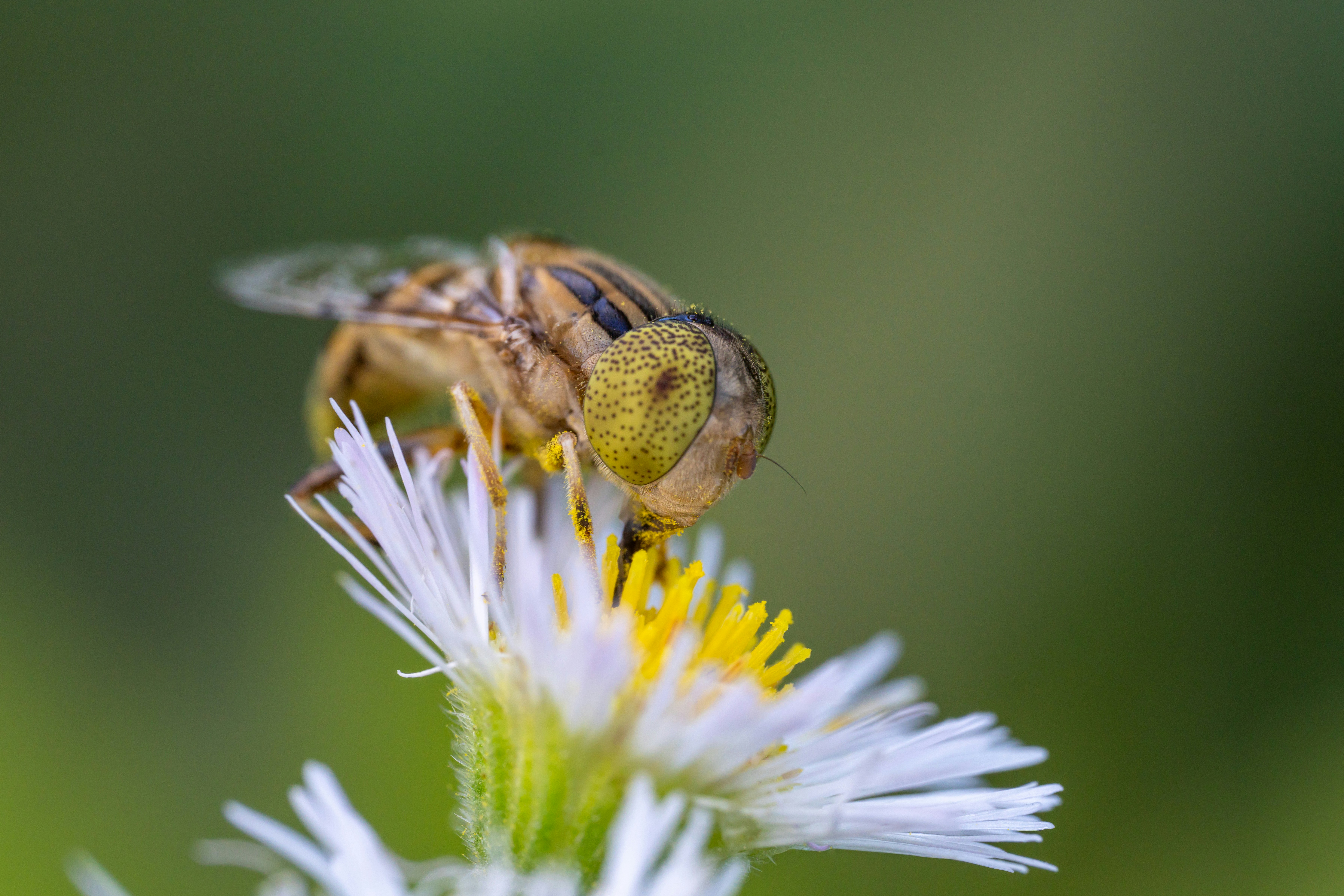 Photo by yooho962464