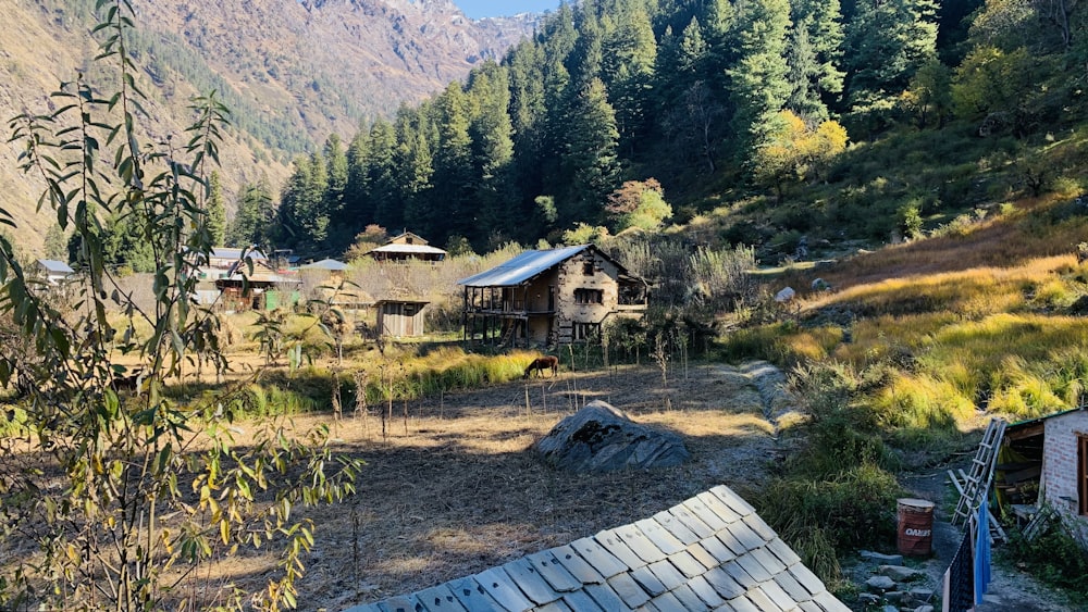 Un piccolo villaggio in montagna circondato da alberi