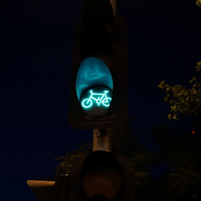 A traffic light is illuminated with a bright green light depicting a bicycle symbol, indicating it's a signal for cyclists. The light stands out against the dark evening or nighttime sky. Some foliage is visible on the right side, slightly illuminated by the light.