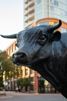 A close-up of the iconic bronze bull statue at Amsterdam's Beursplein, bathed in warm sunlight with the historic stock exchange building blurred in the background.