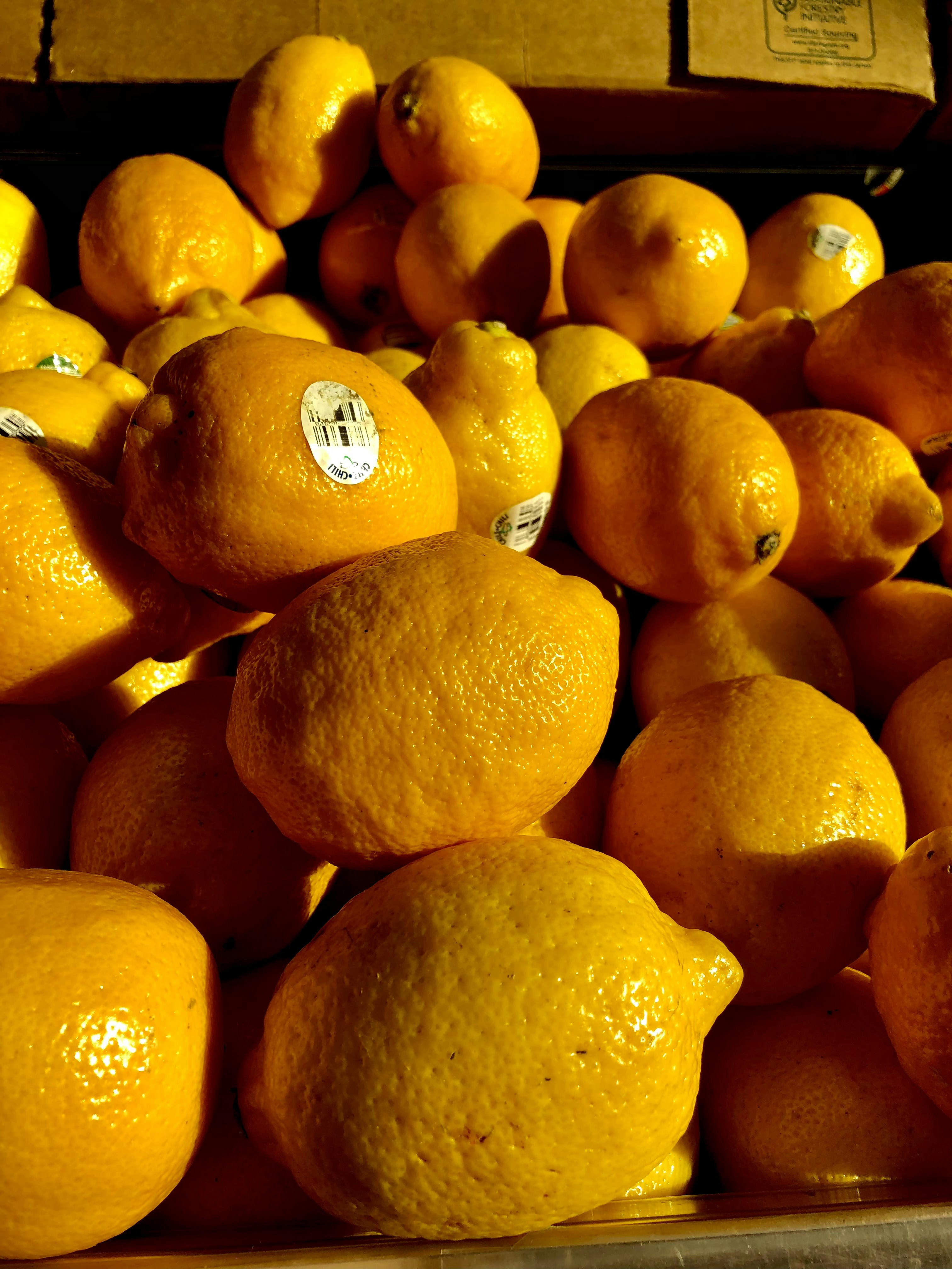 Photo by lindsaygess