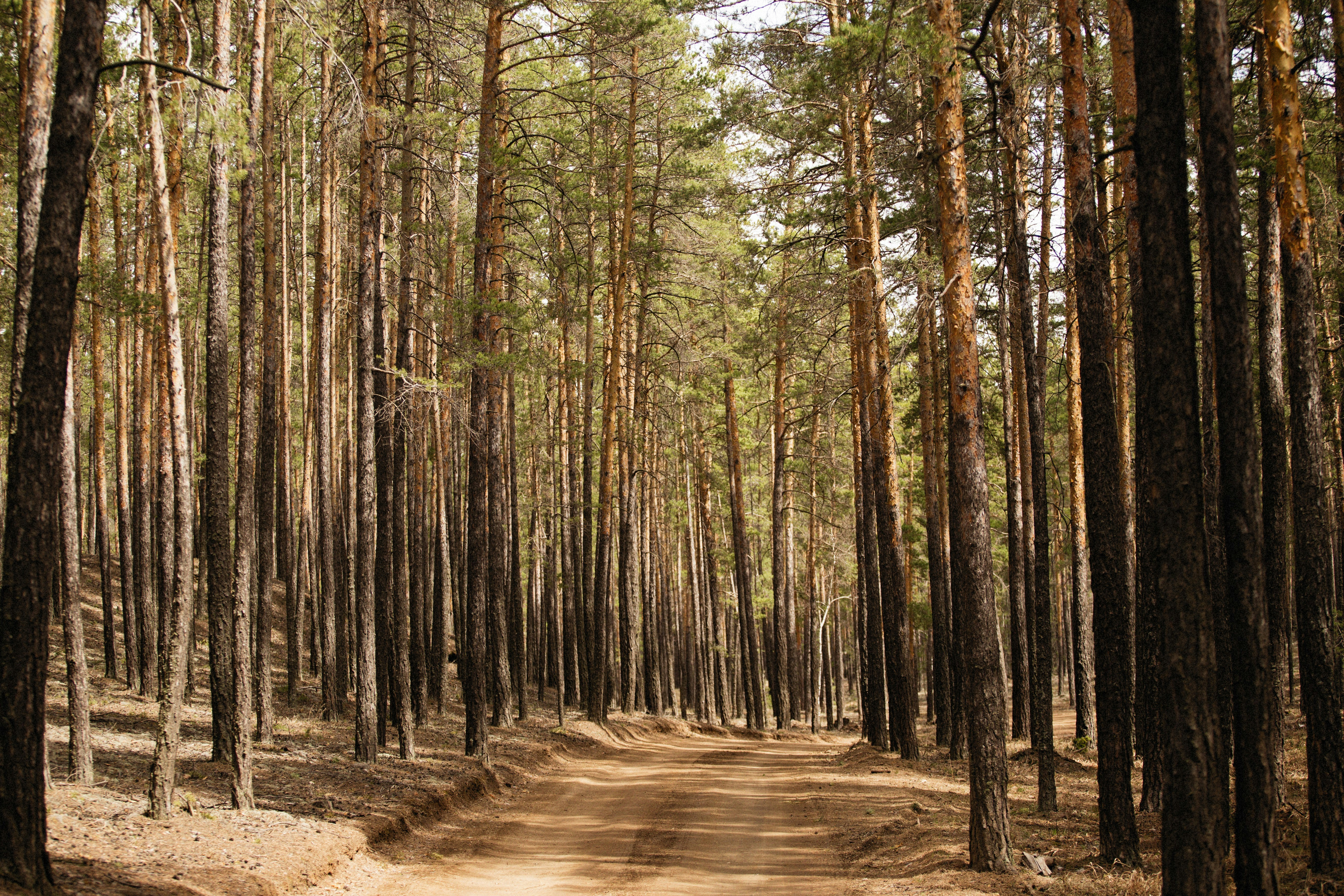 Photo by alexeydemidov