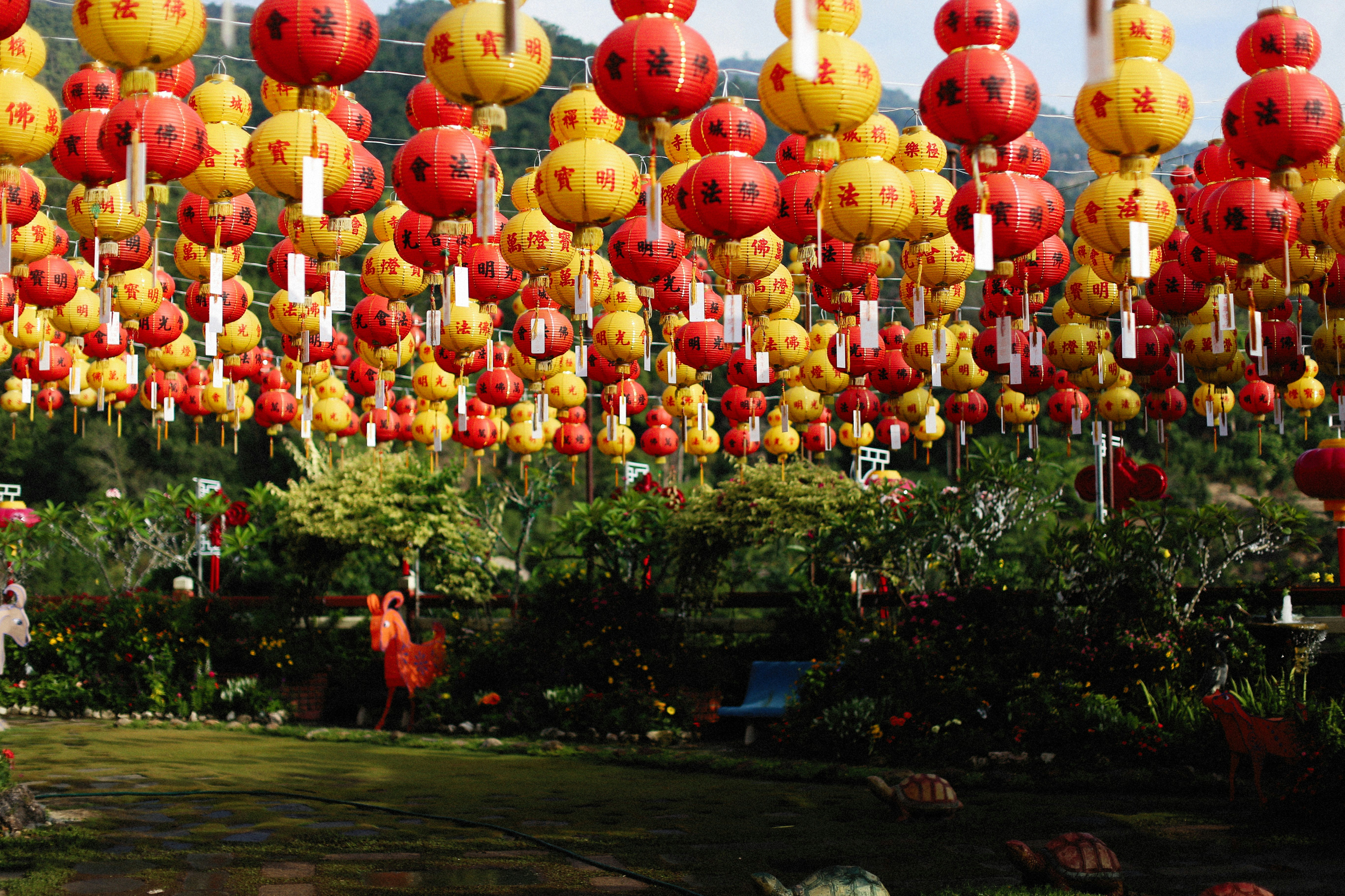 Photo by alexeydemidov