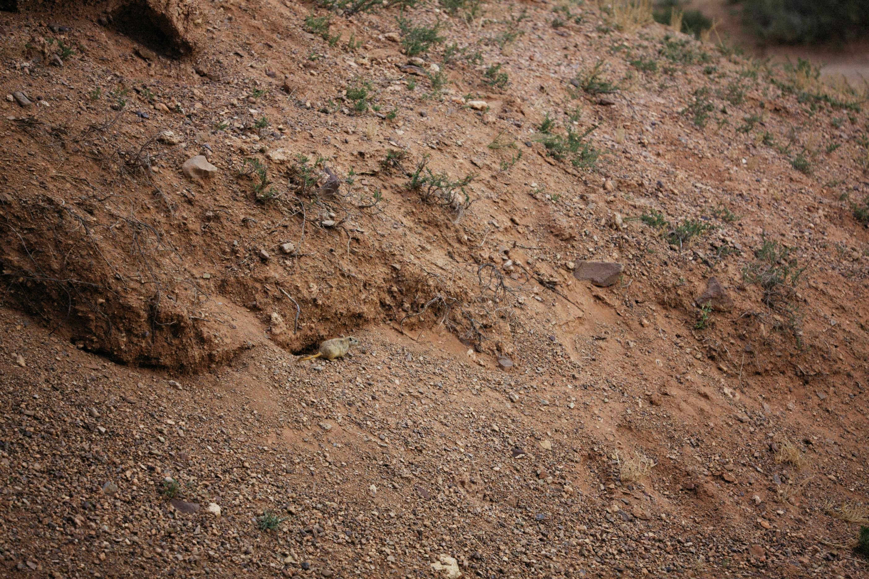 Photo by alexeydemidov