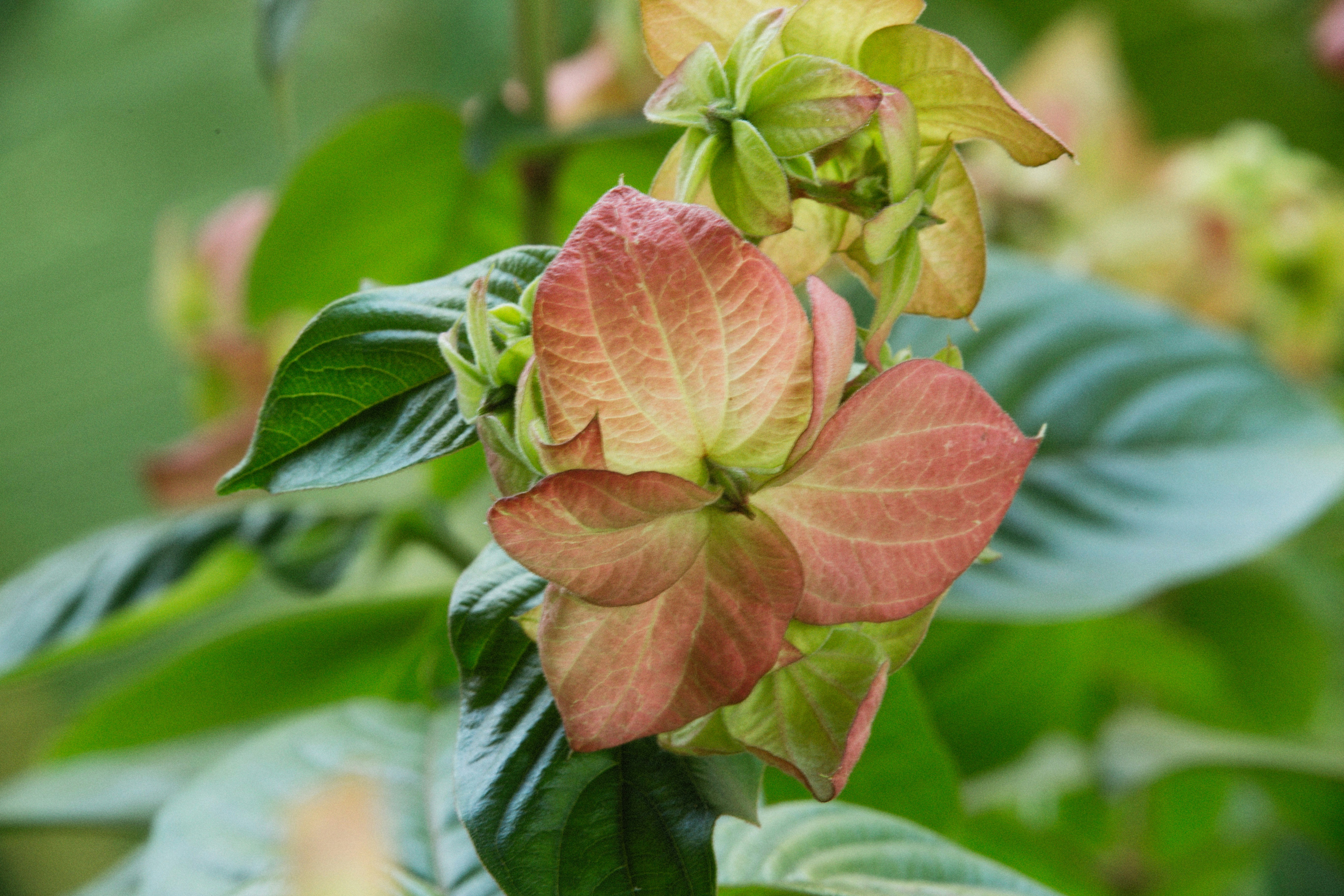 Photo by alexeydemidov