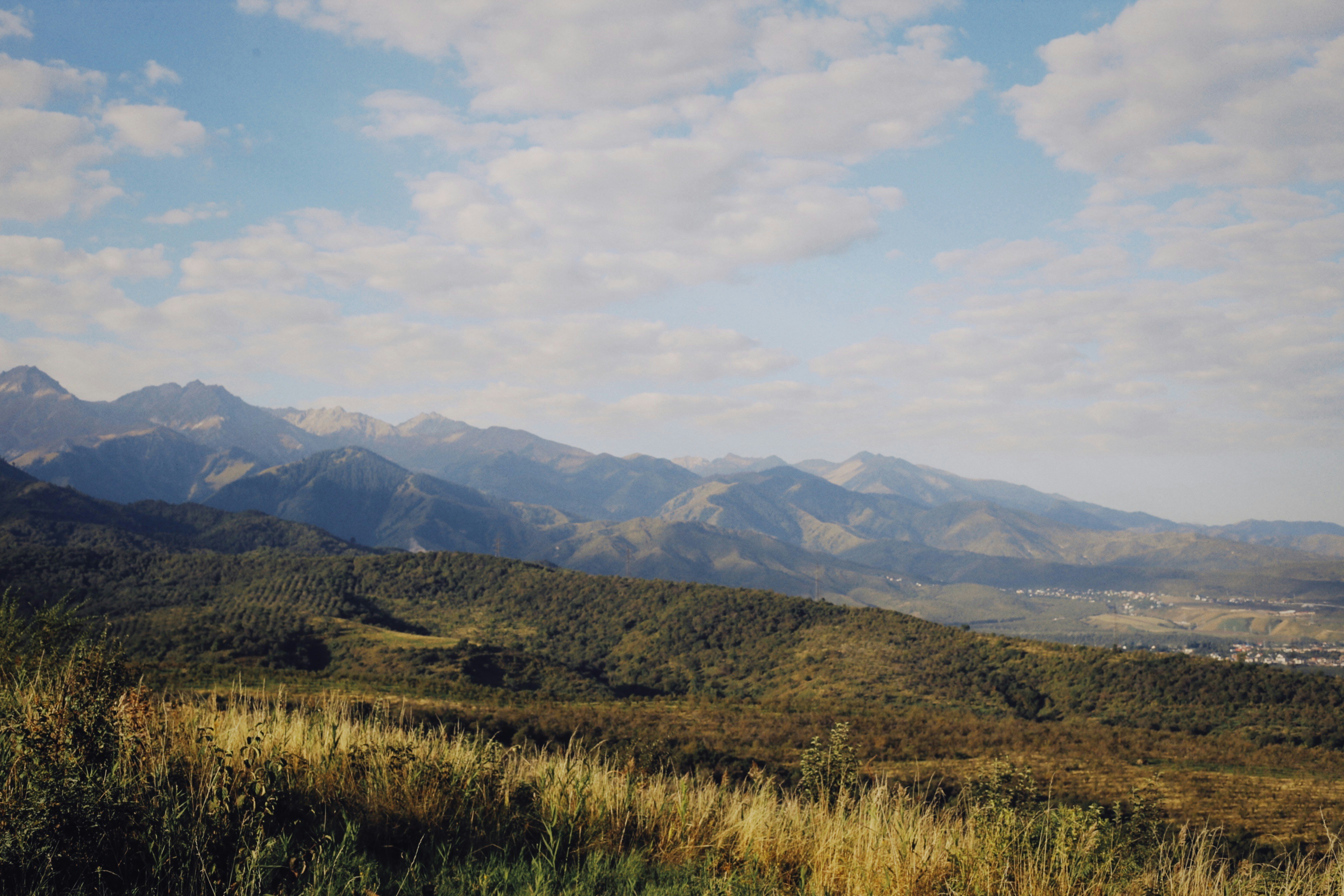 Photo by alexeydemidov