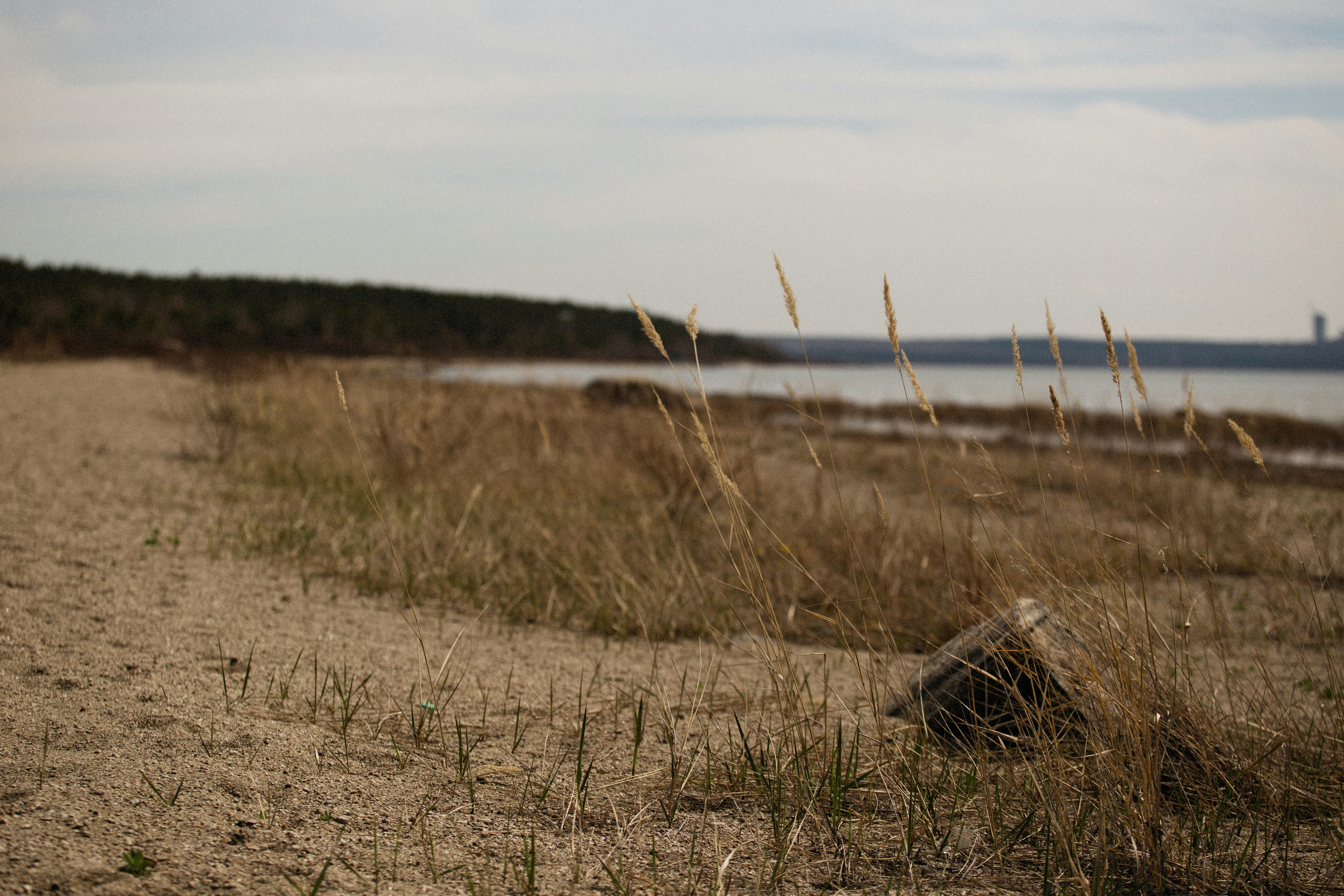 Photo by alexeydemidov