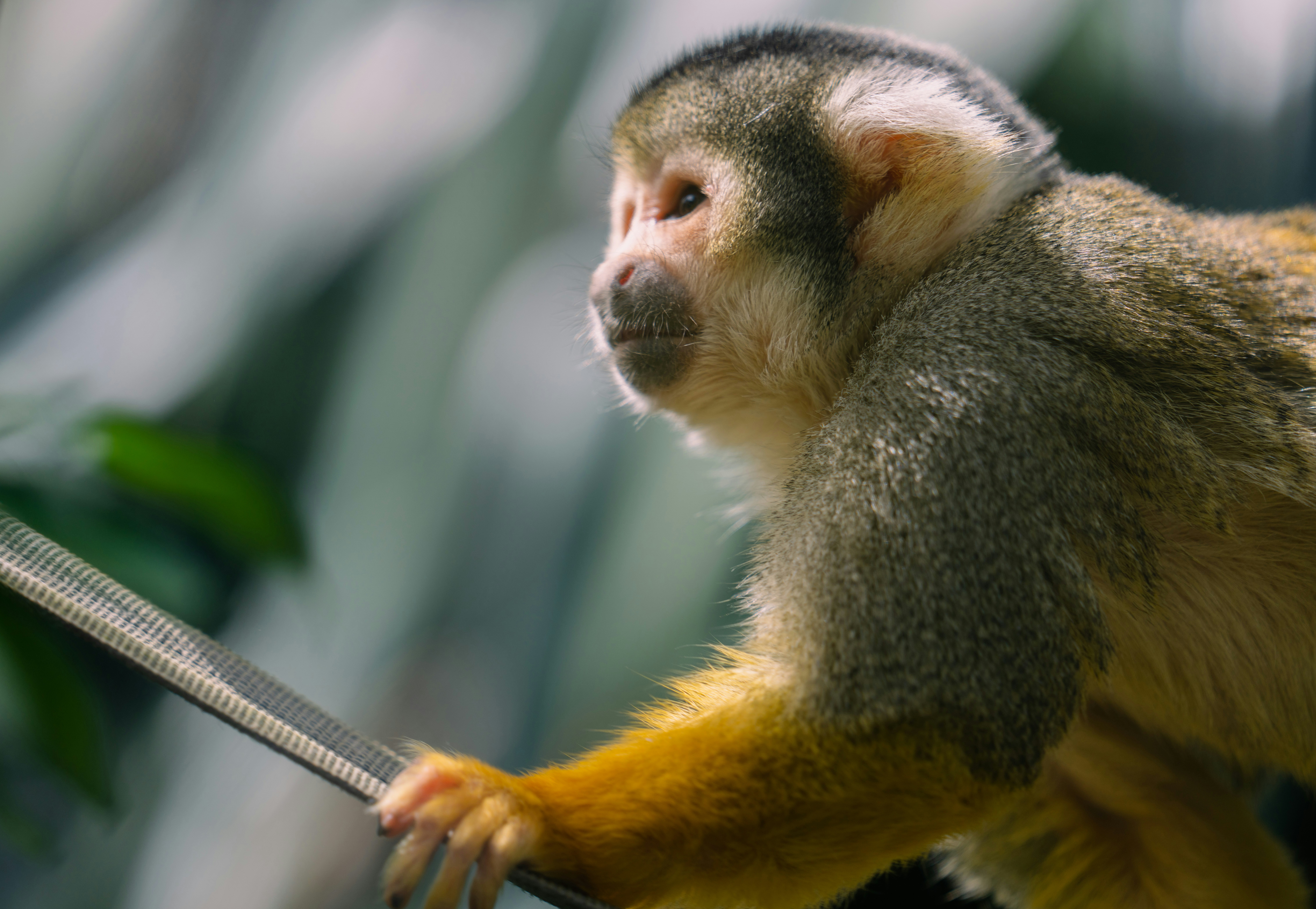 Científicos crean un nuevo elemento químico a partir de chicles usados