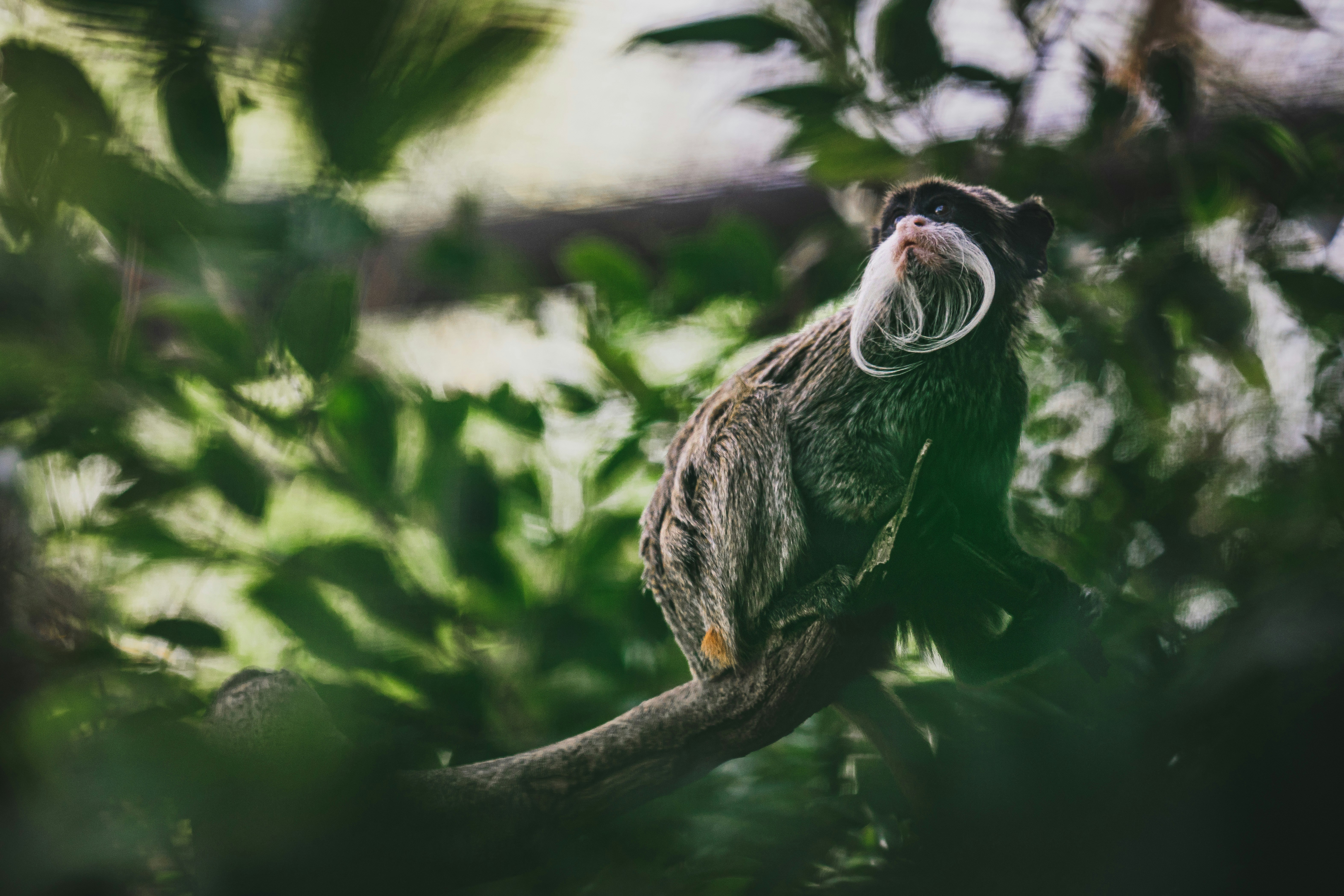 Photo by kschlotfeldt