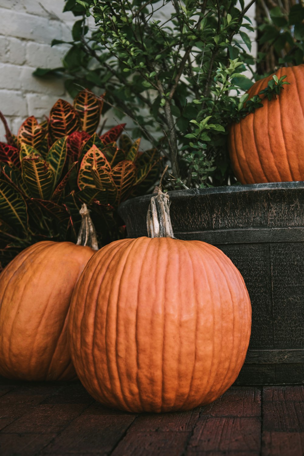 a group of pumpkins sitting on top of a wooden table