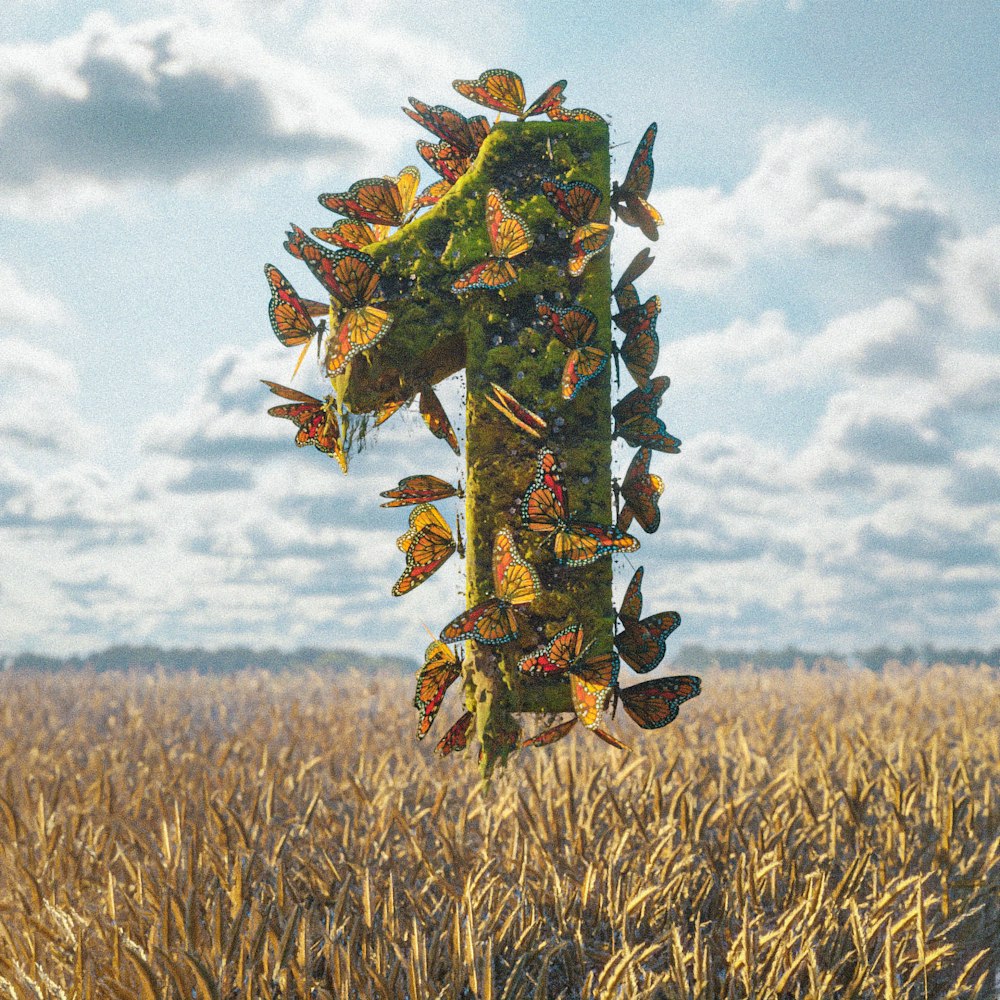 a number of butterflies on a pole in a field