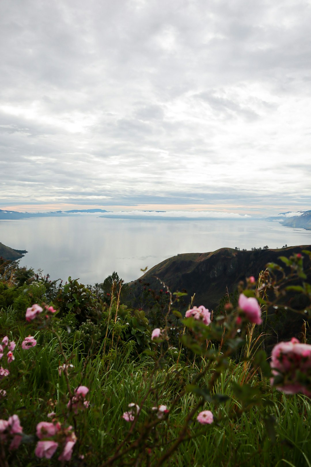 Natural landscape photo spot Taman Simalem Resort Indonesia