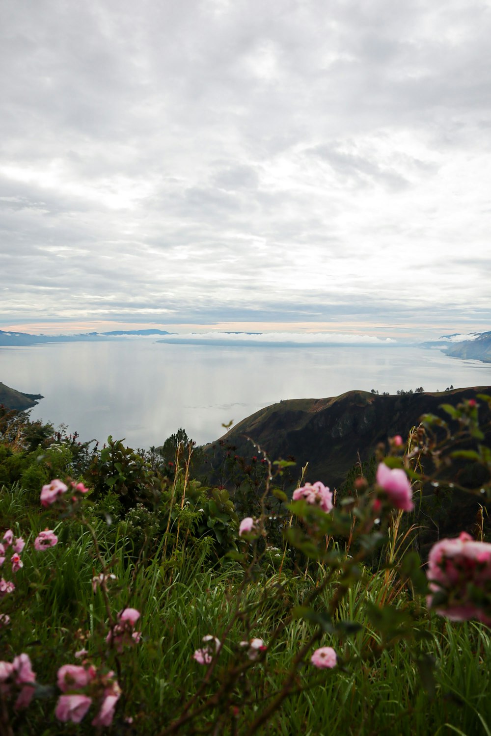 a view of a body of water from a hill