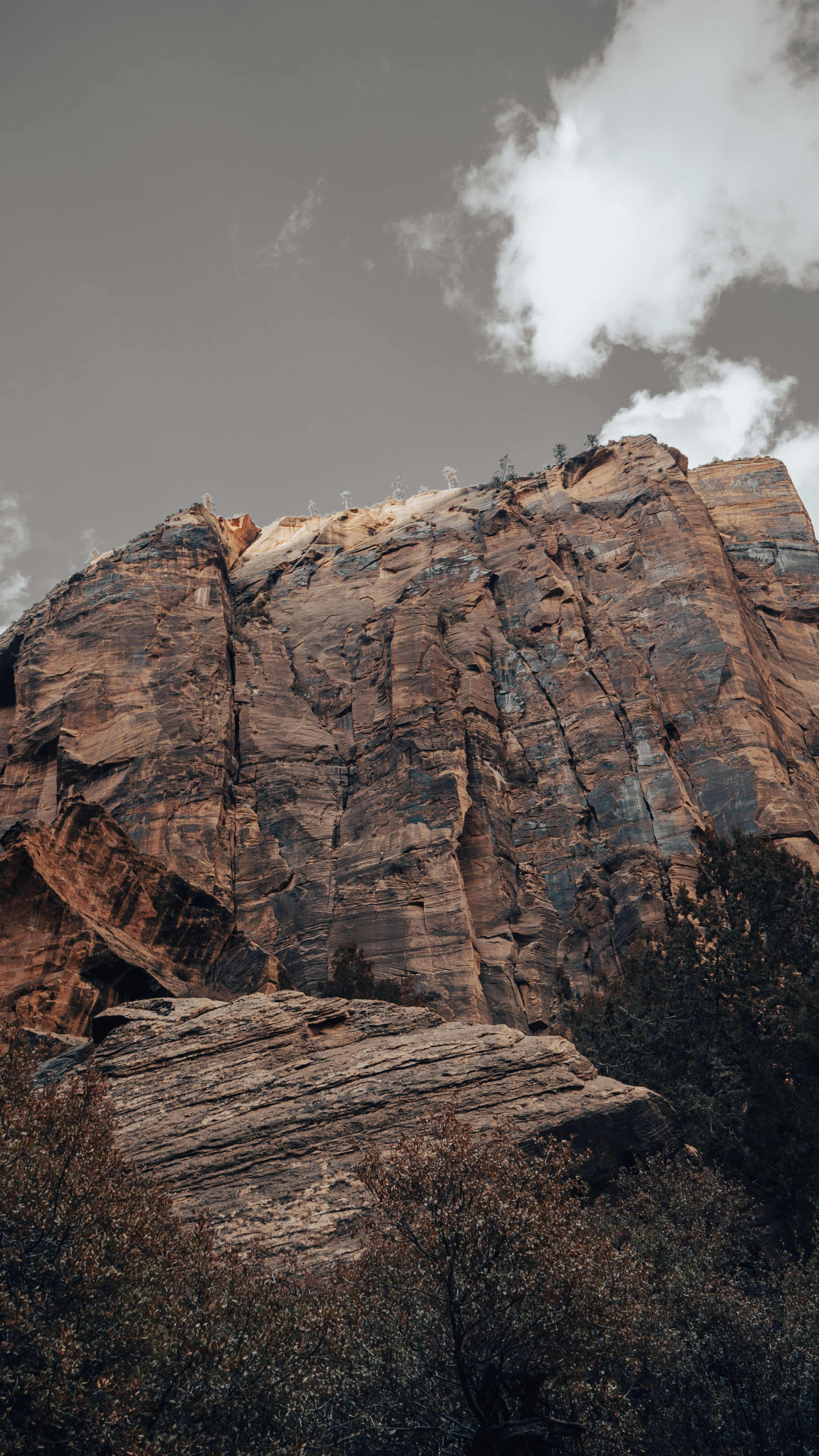 Photo by thomas_weaver