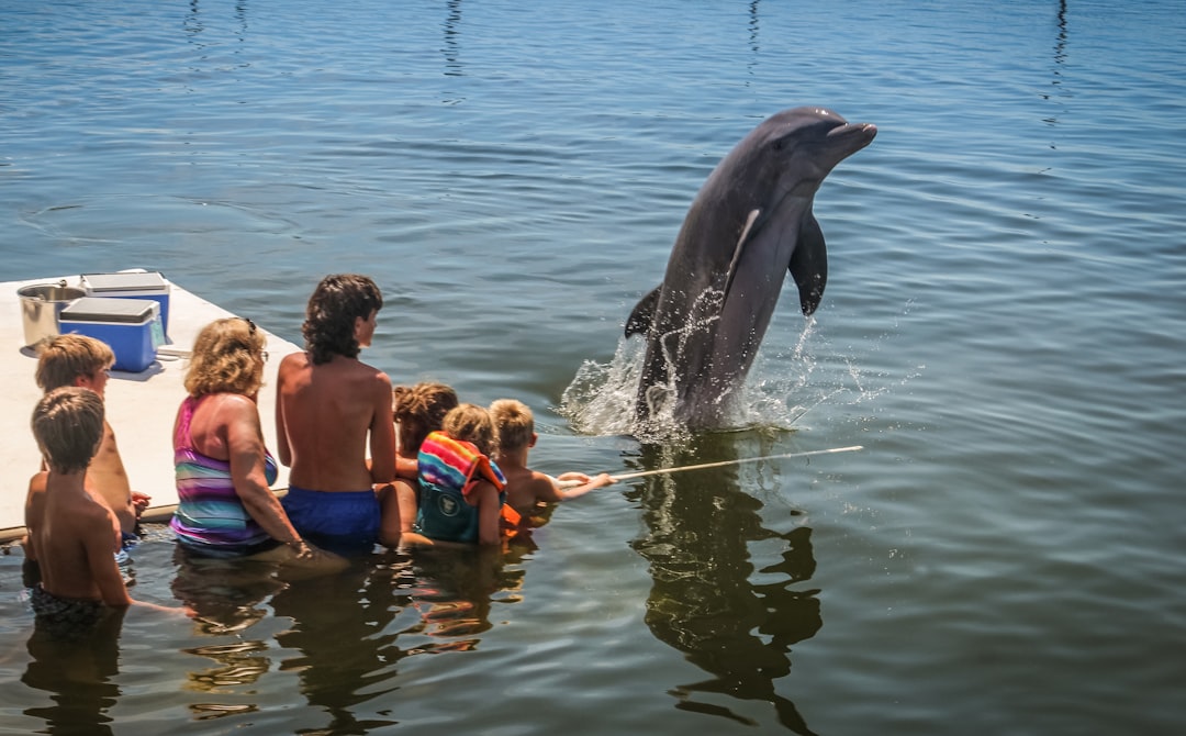 a group of children watching a dolphin jump out of the water