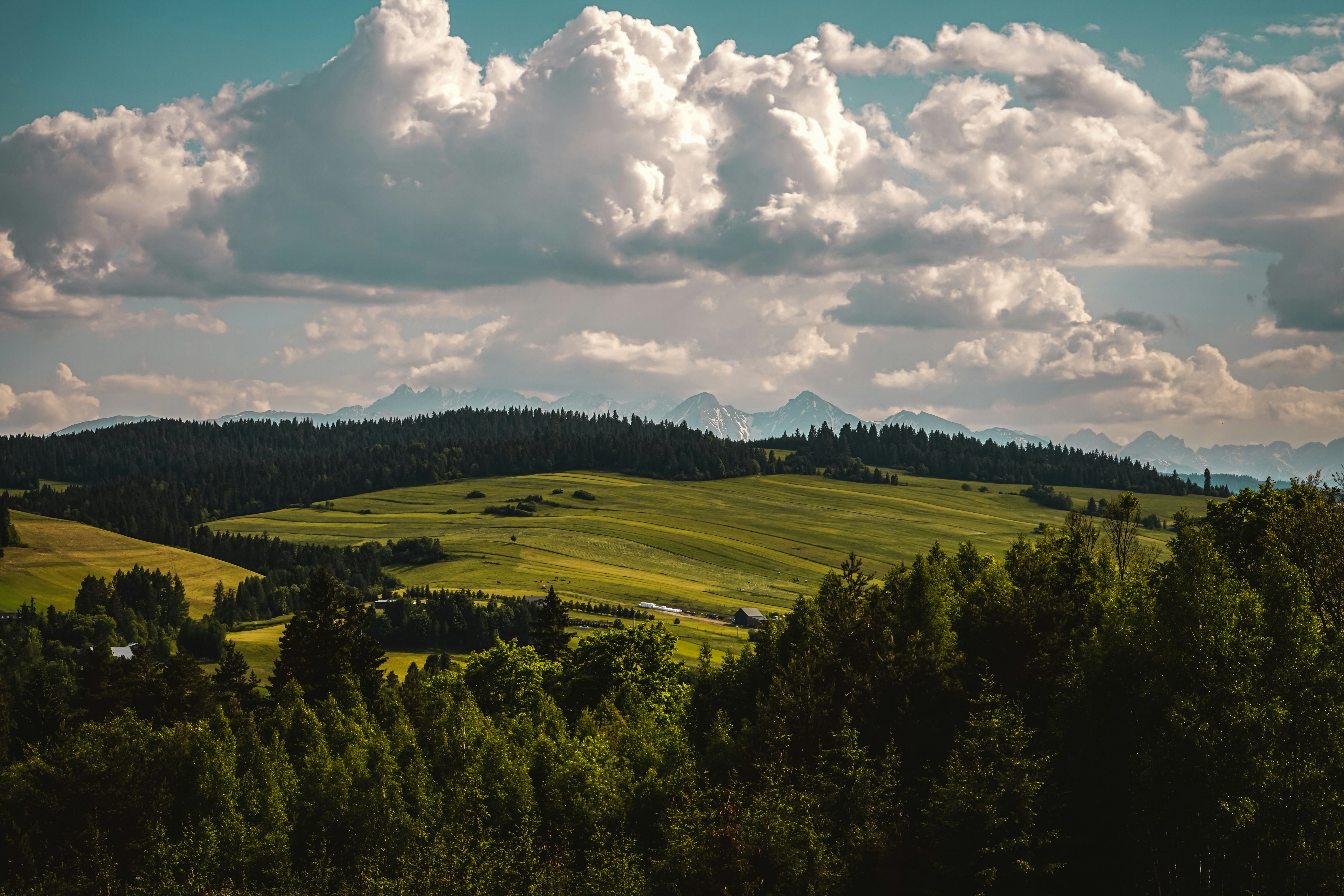 Photo by kubaregulski