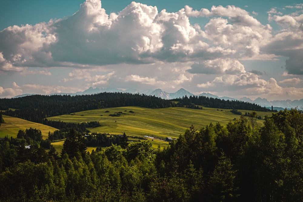 a lush green field surrounded by forest under a cloudy sky