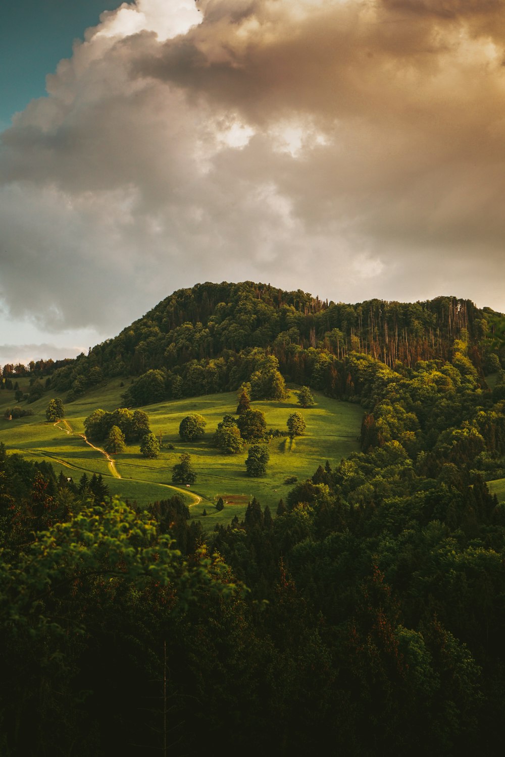 a lush green hillside covered in trees under a cloudy sky