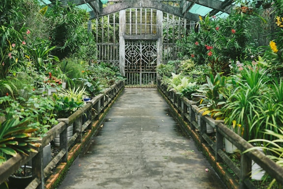 a walkway in a garden filled with lots of plants