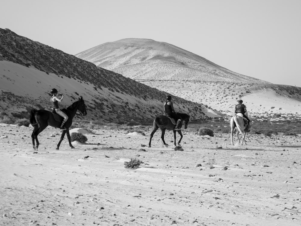 a group of people riding on the backs of horses