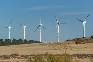 a row of wind turbines on a hill