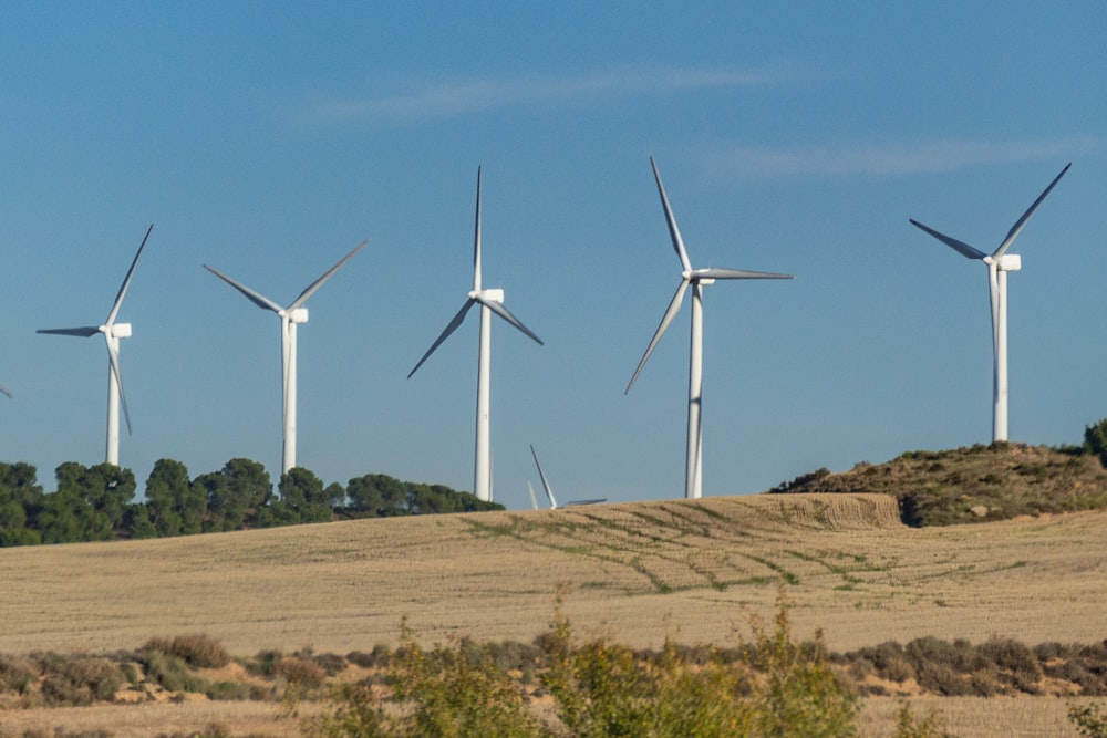 a row of wind turbines on a hill