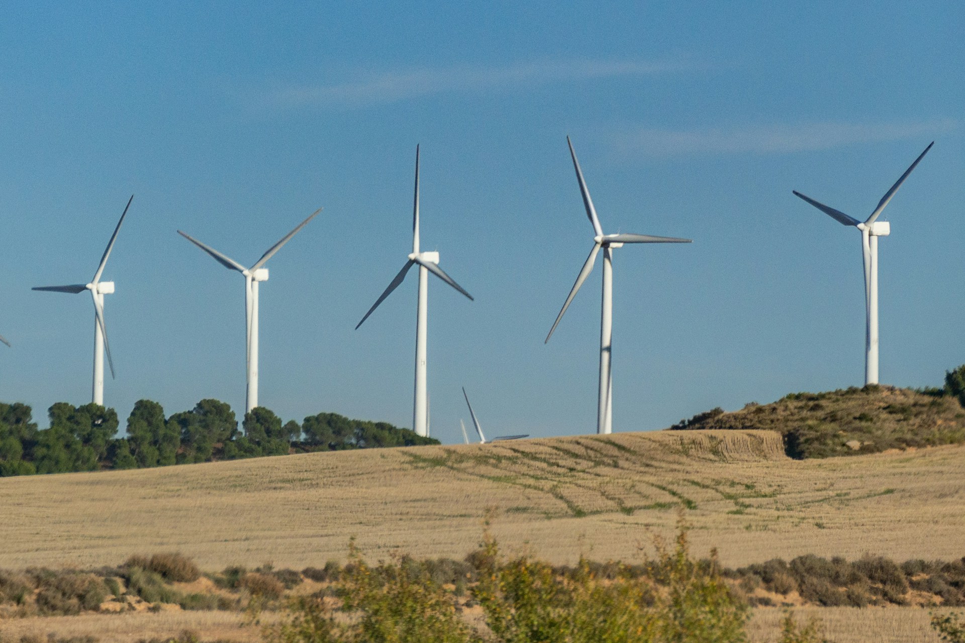 a row of wind turbines on a hill