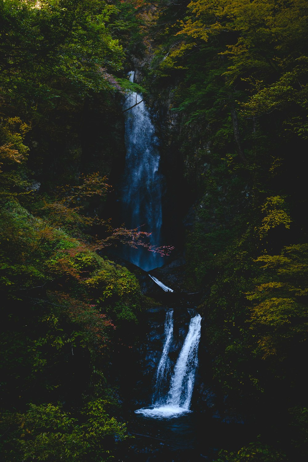 a waterfall in the middle of a forest