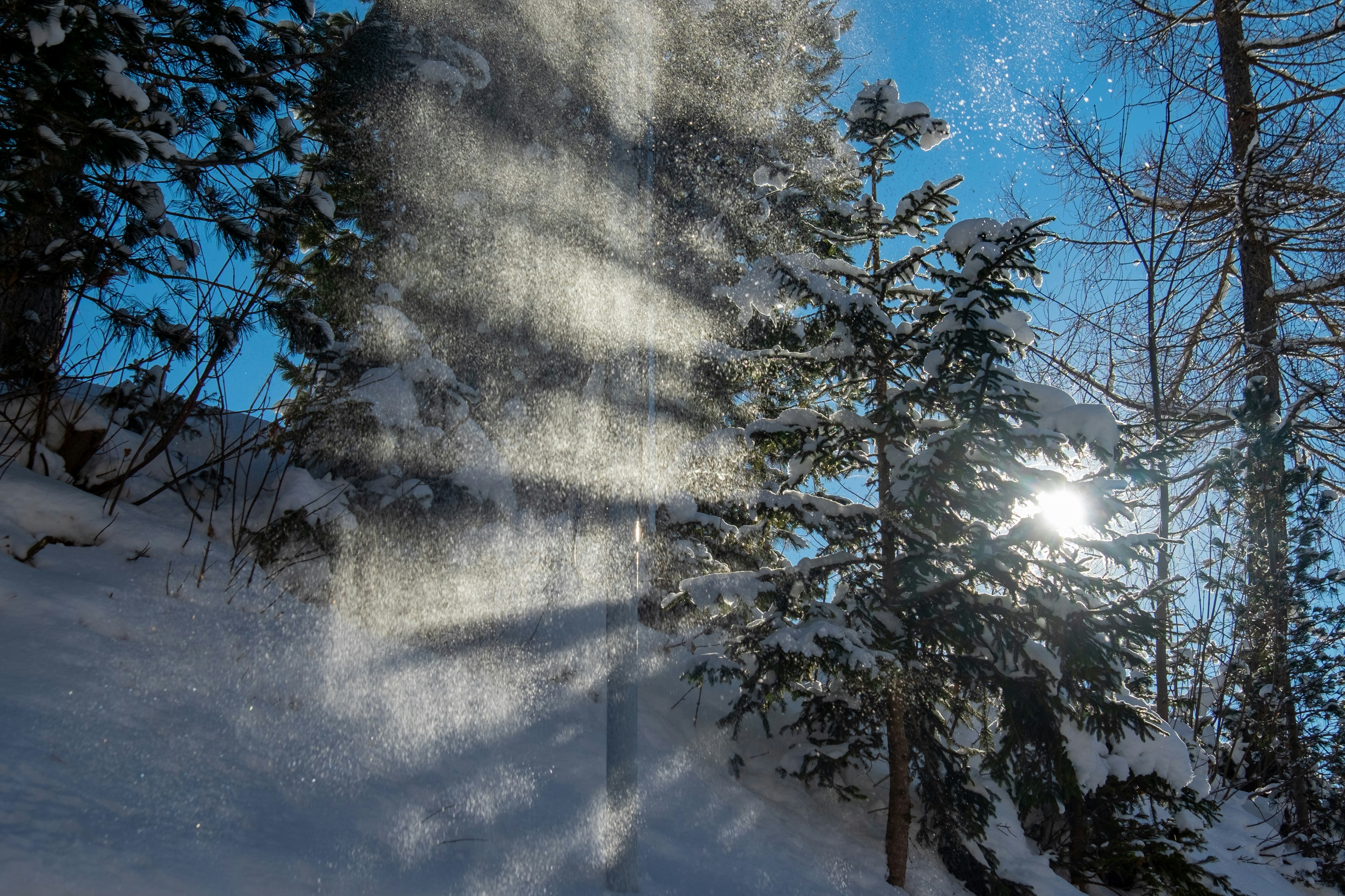 Photo by sashasmelova