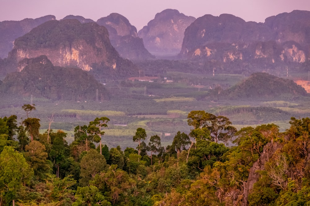 une vue d’une chaîne de montagnes avec de nombreux arbres au premier plan