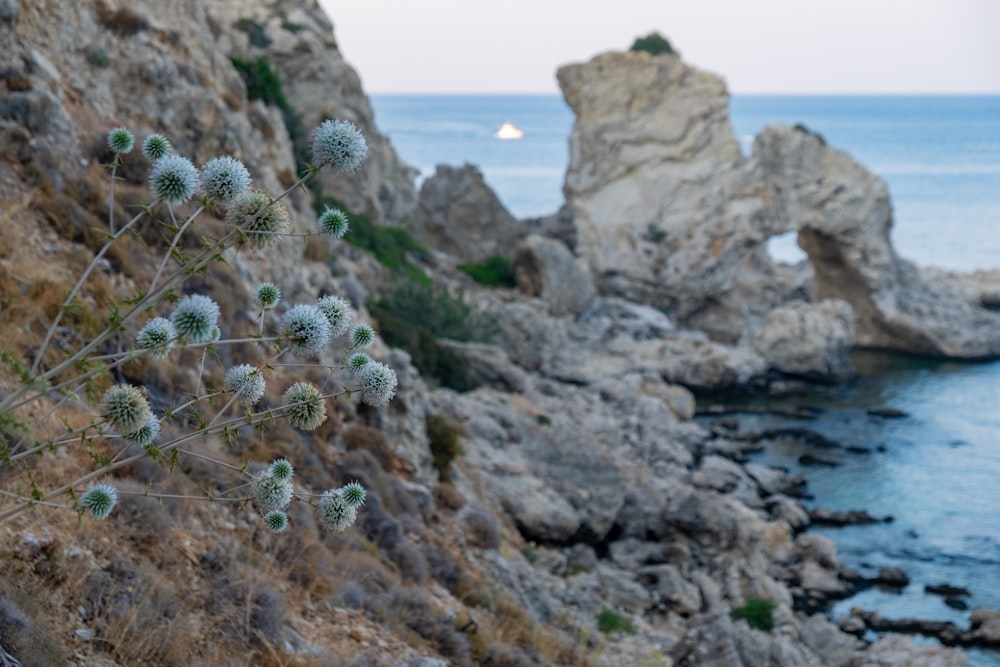 Una vista del océano desde un acantilado rocoso