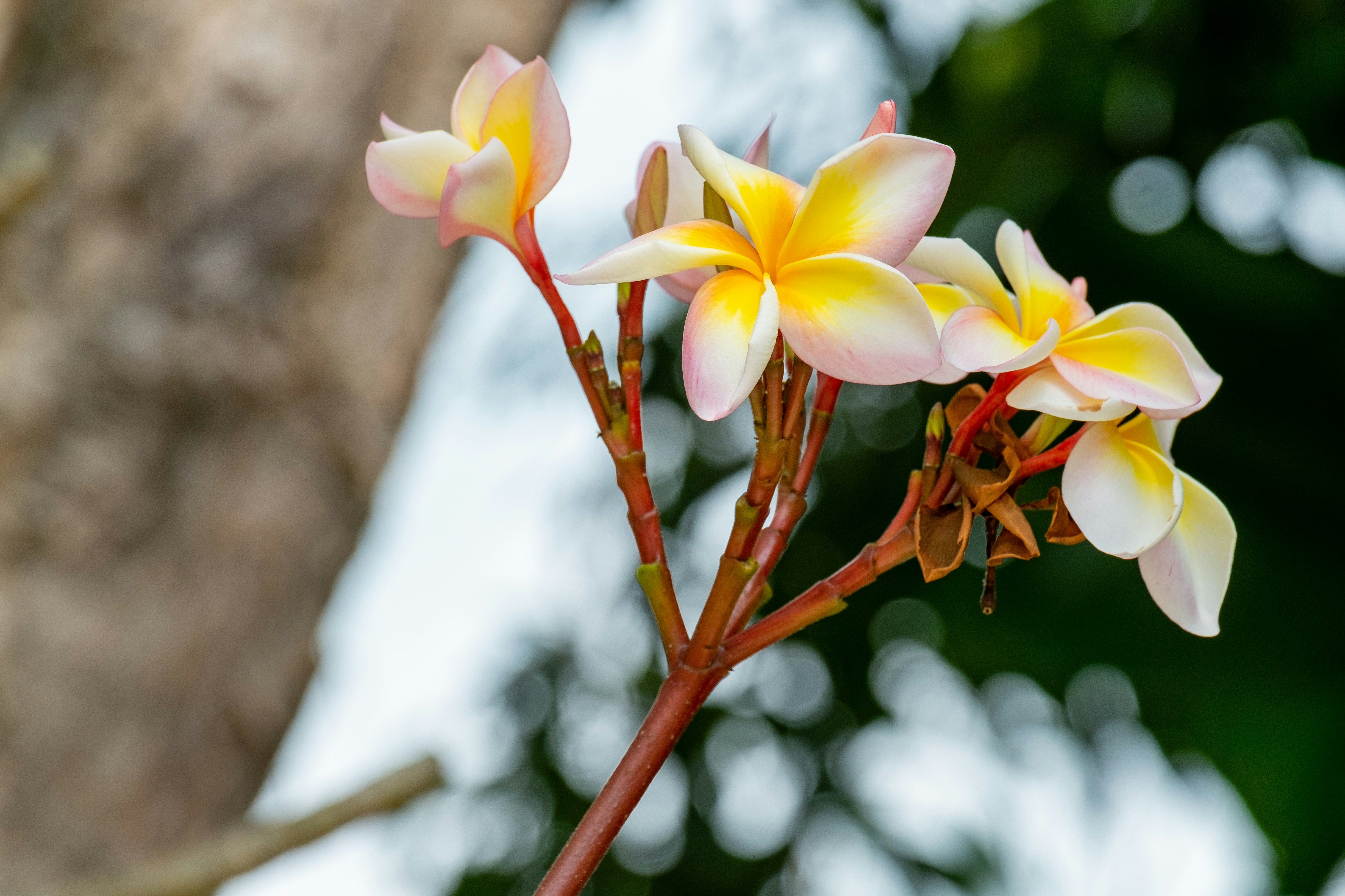 Photo by sashasmelova