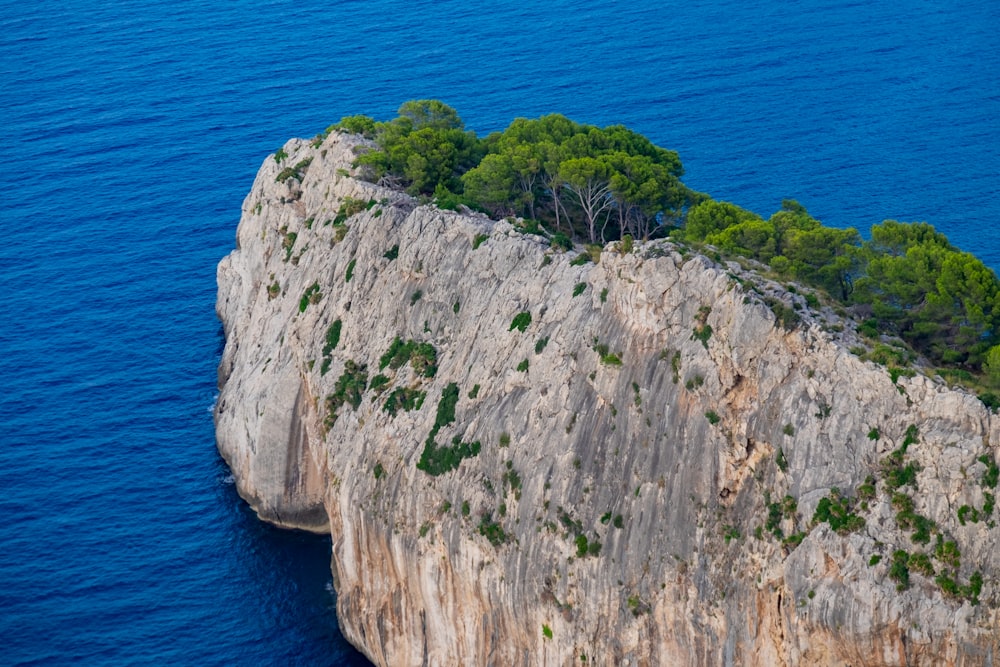 a small island in the middle of a body of water