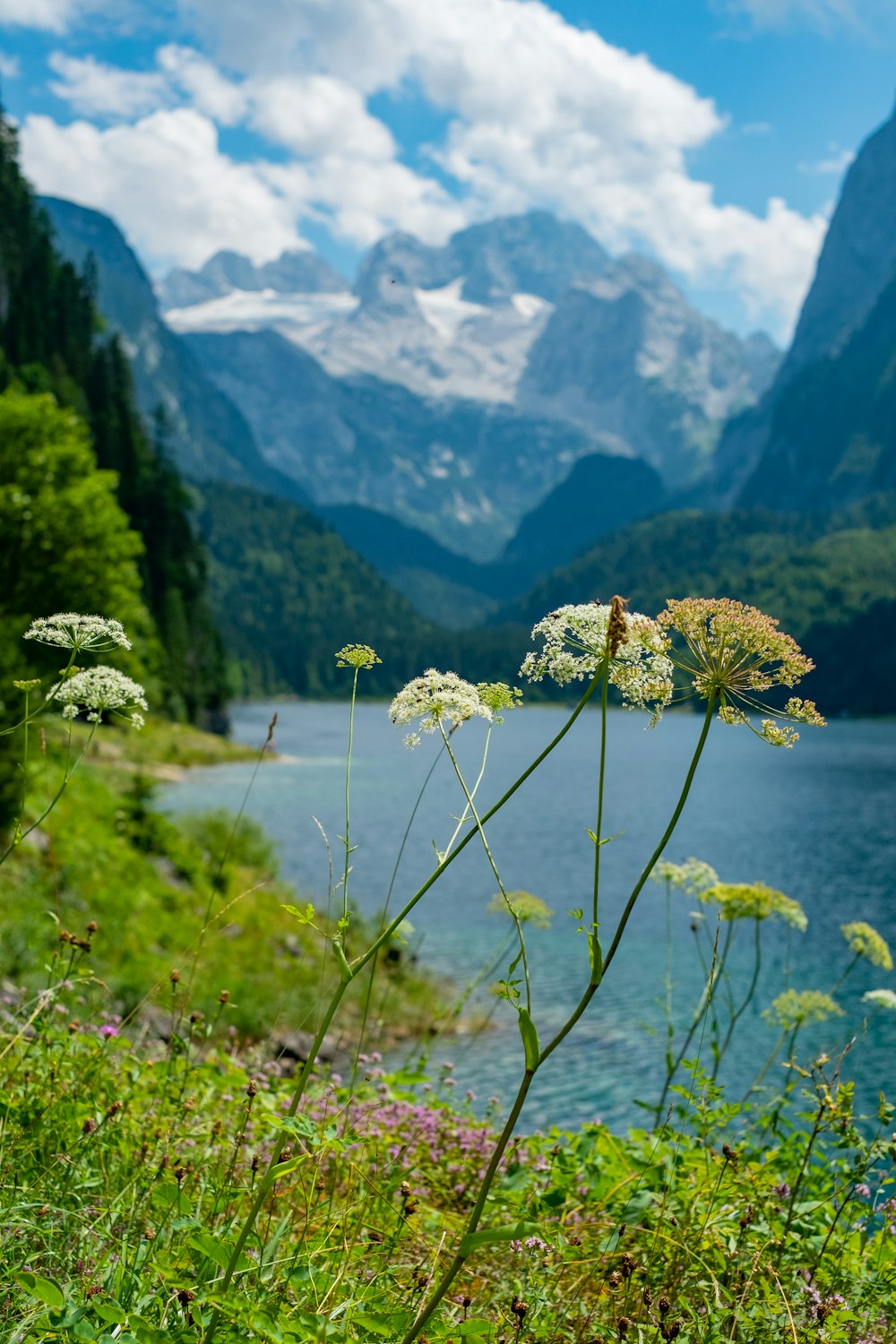 a view of a body of water with mountains in the background