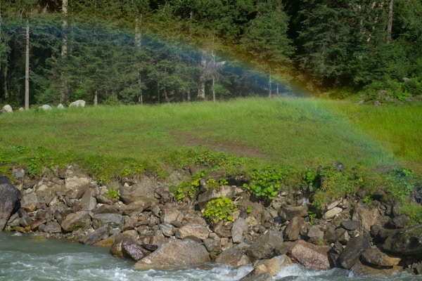 A vibrant rainbow arches gracefully above a lush, green grassy area bordered by dense forest. Below the grass, a rocky embankment meets a flowing stream, creating a picturesque natural scene.