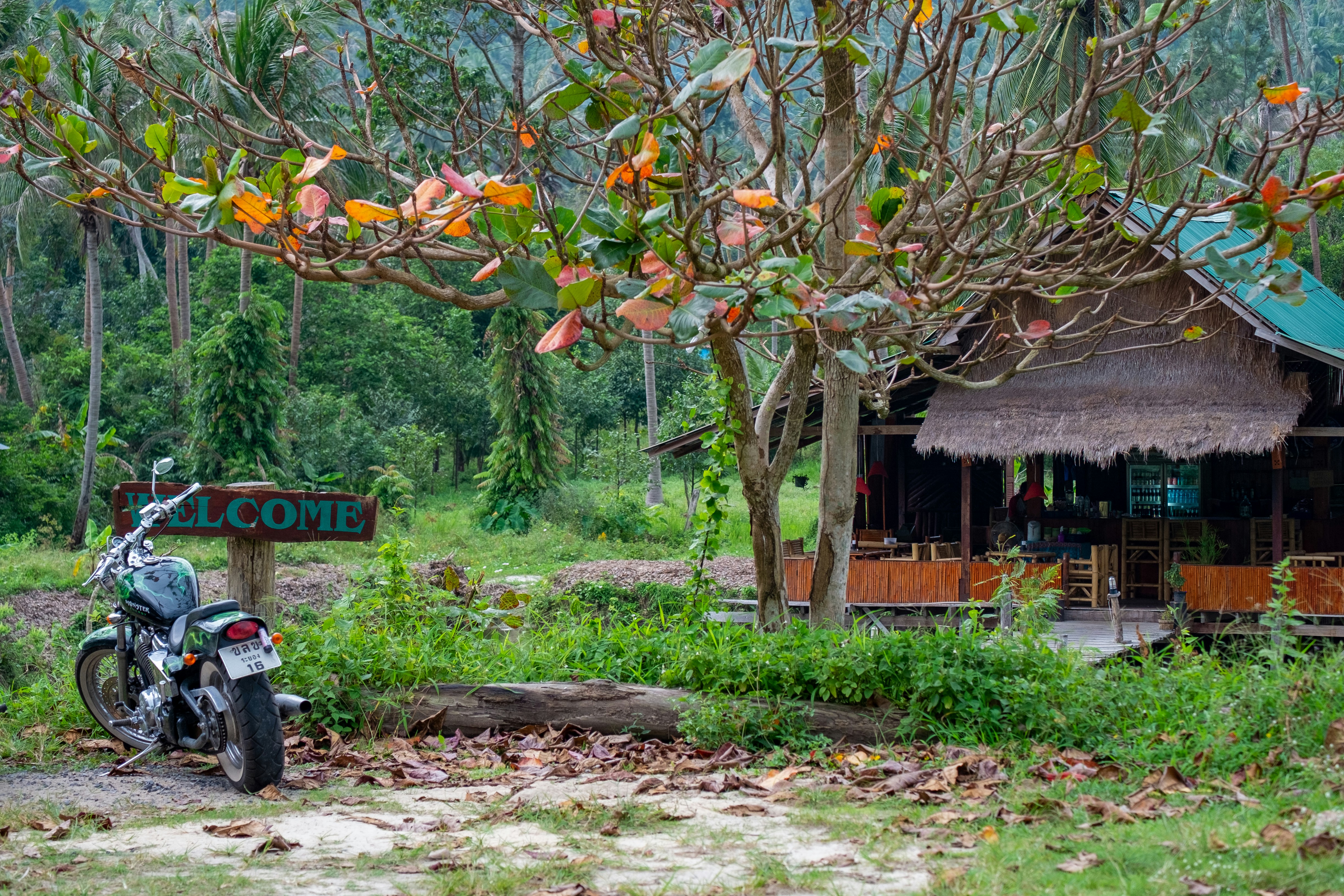 Photo by sashasmelova