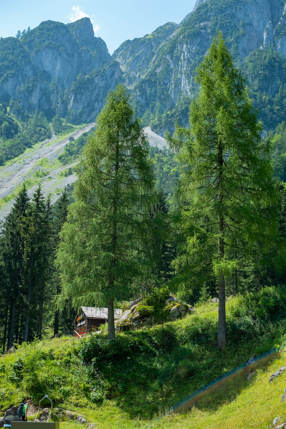 a small cabin in the middle of a forest