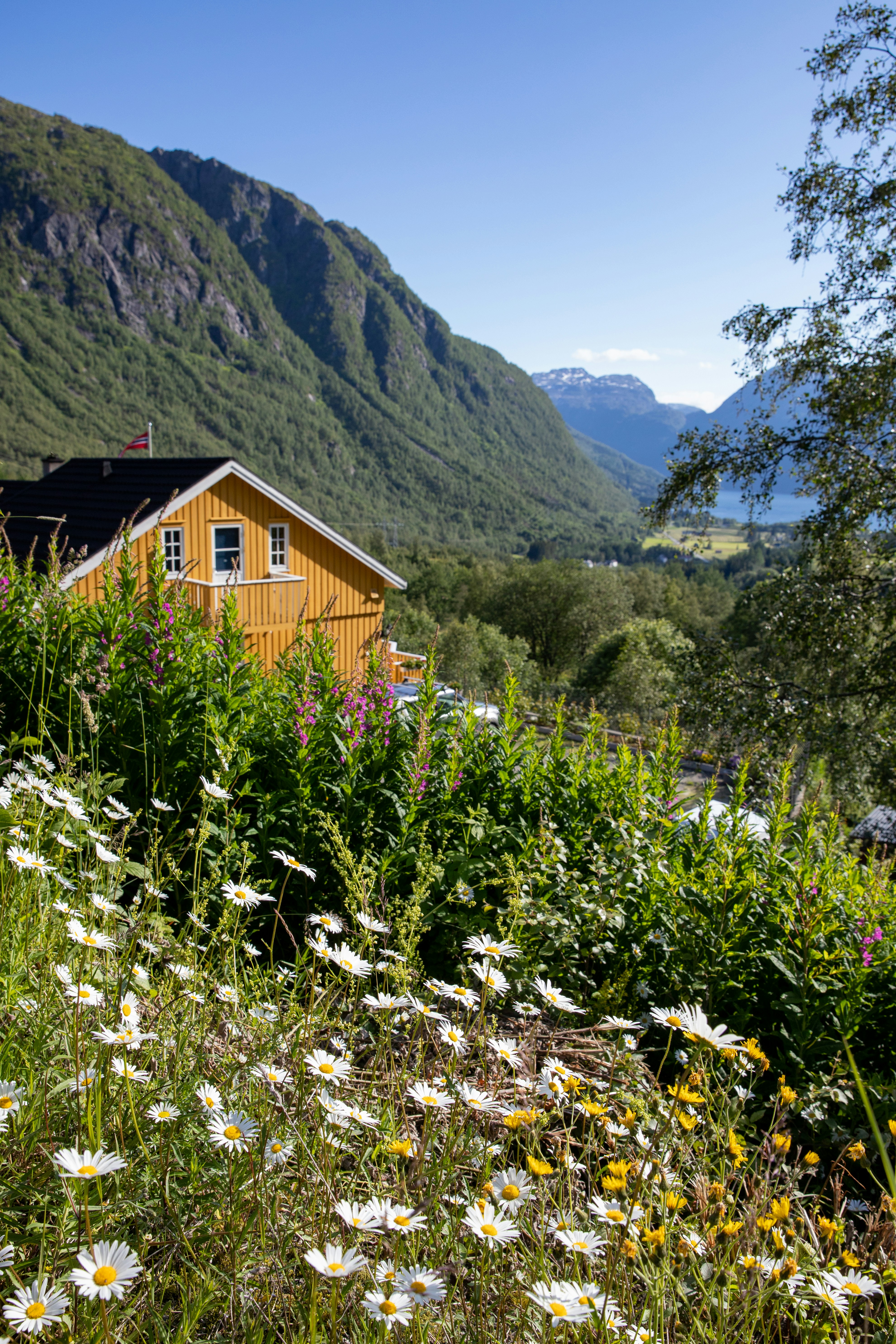 Photo by sashasmelova