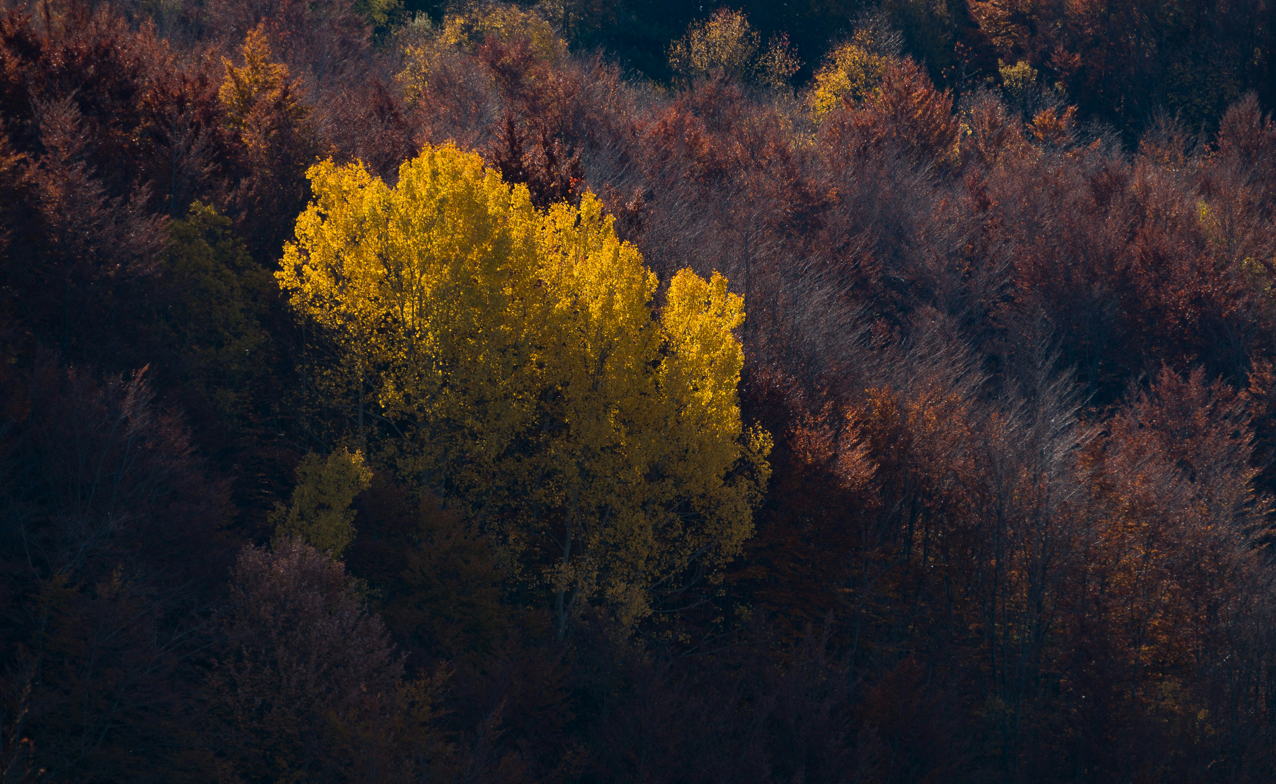 Photo by matteo_skyrider