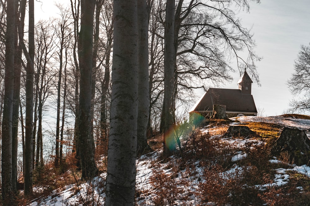 a church on top of a hill surrounded by trees