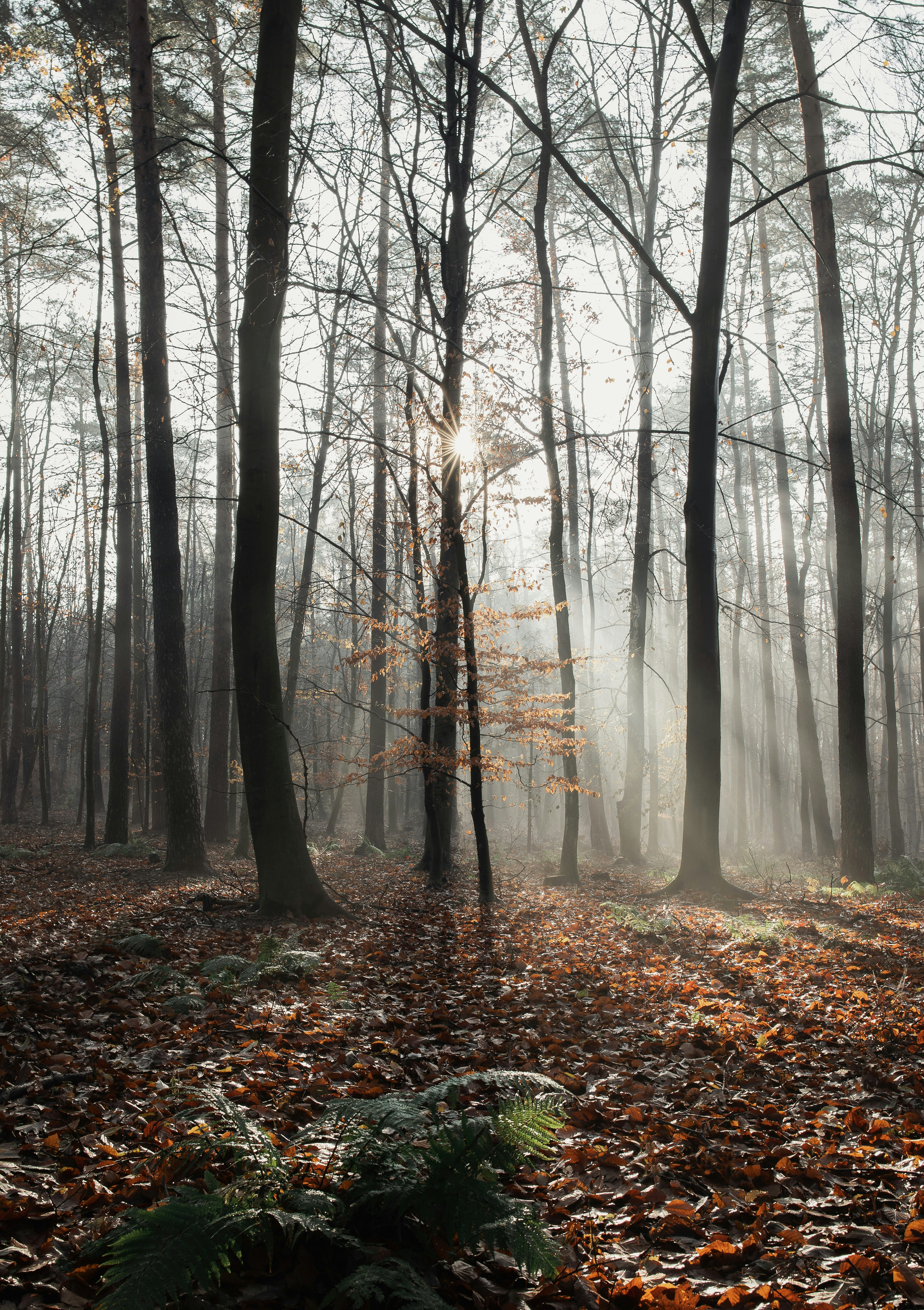 Photo by victor_vector