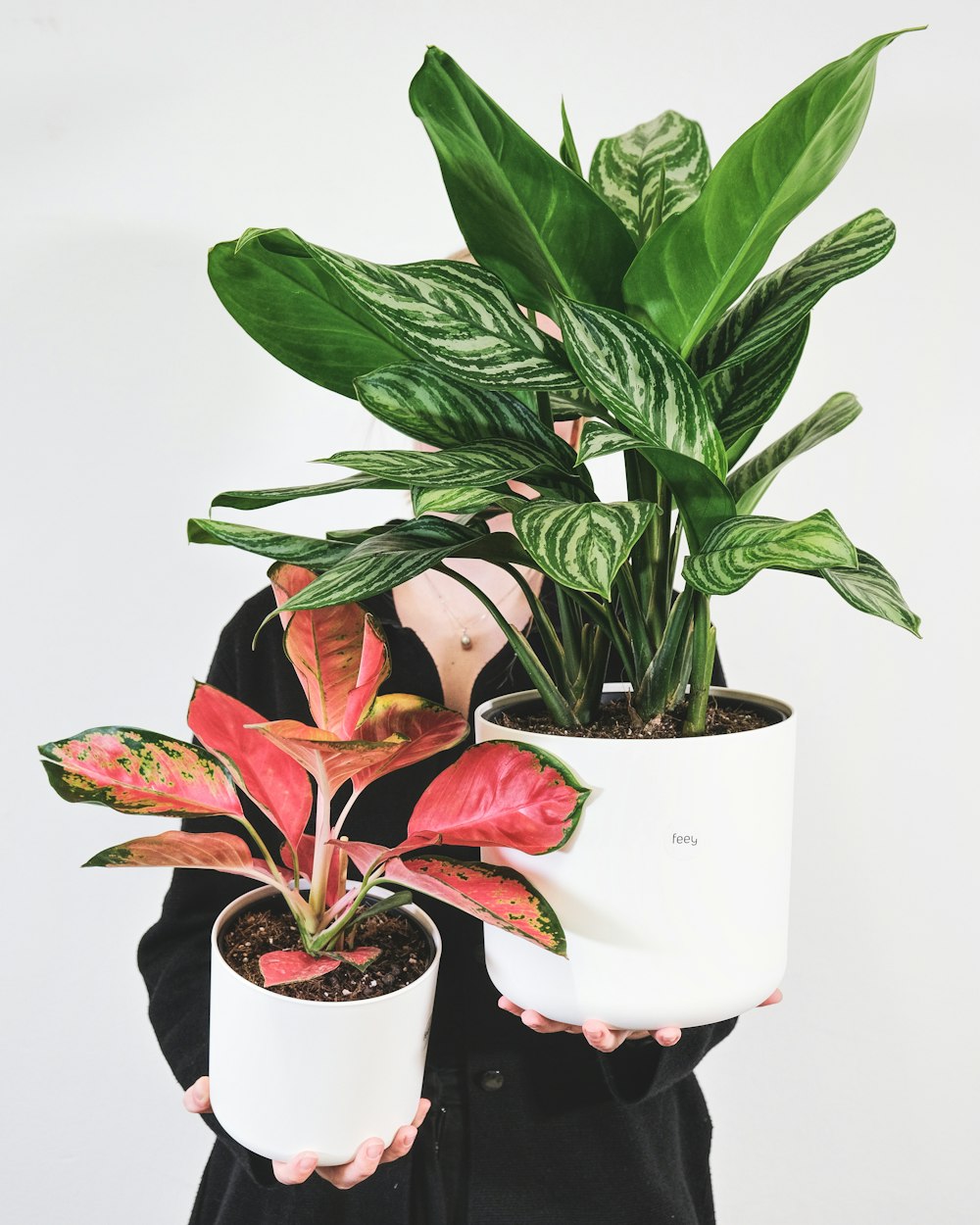 a person holding two potted plants in their hands