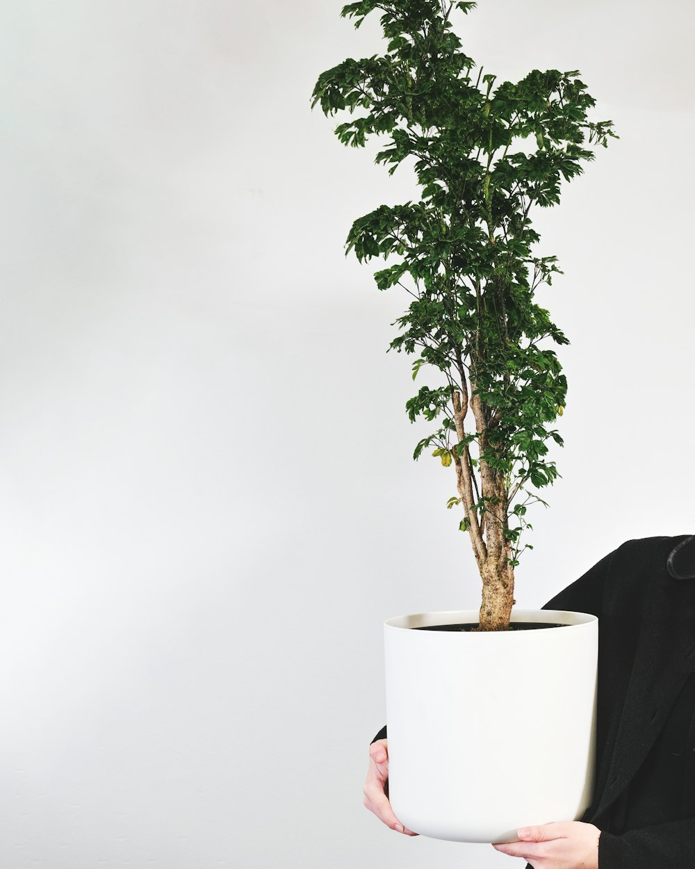 a woman holding a potted plant in her hands