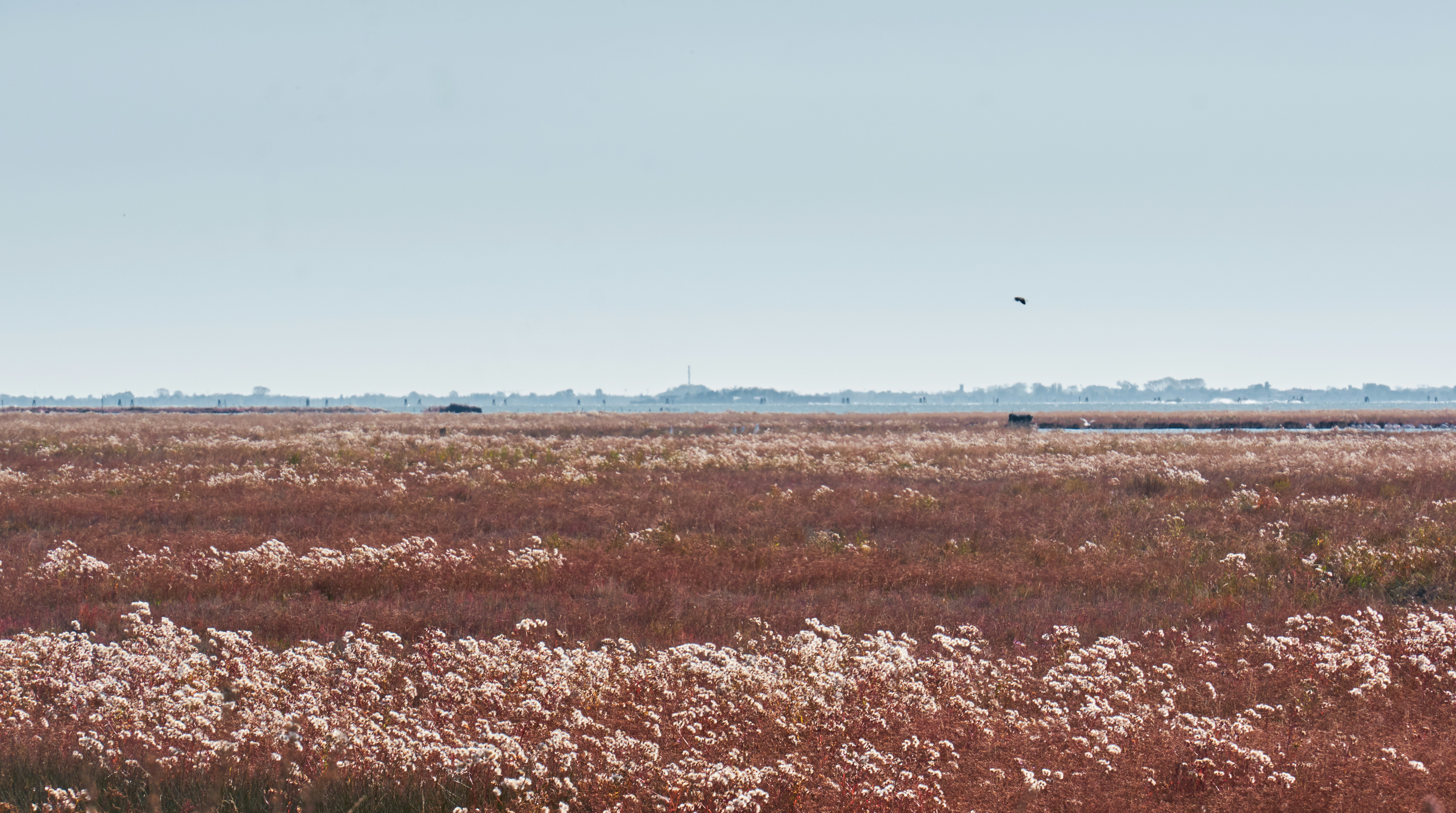 Photo by kevinmartinjose