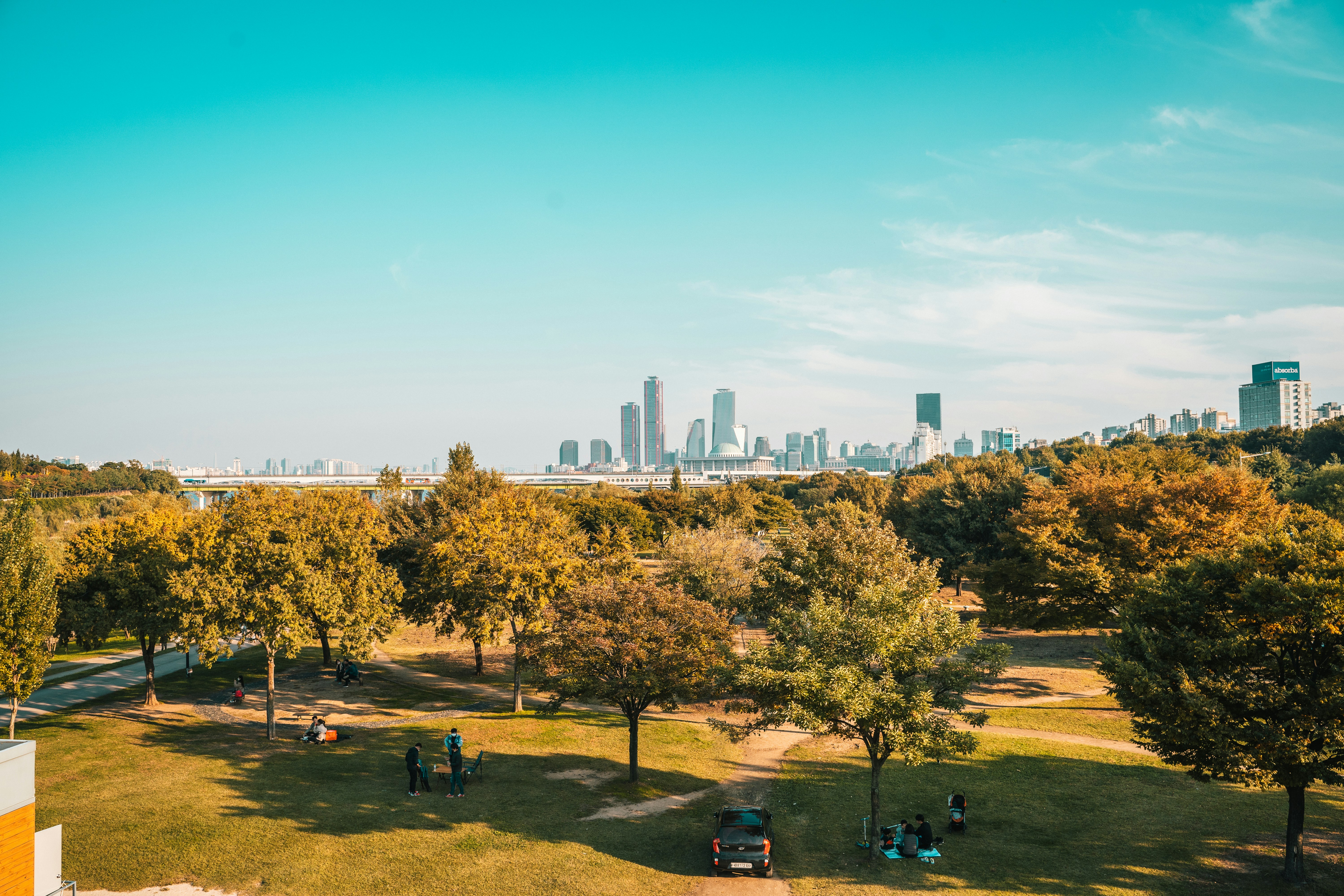 a view of a city skyline from a park