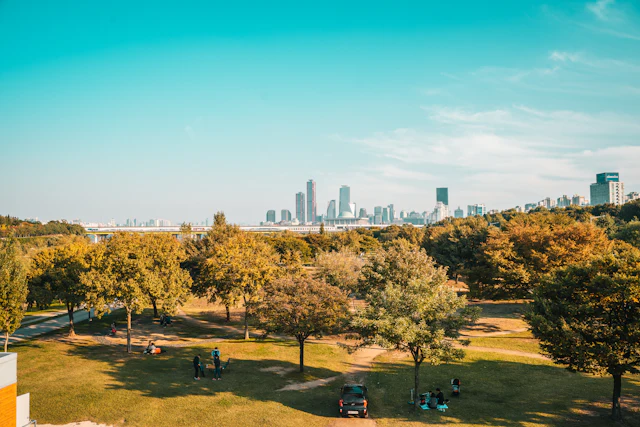 A grassy riverside park with picnickers and the Seoul skyline across the Han River.