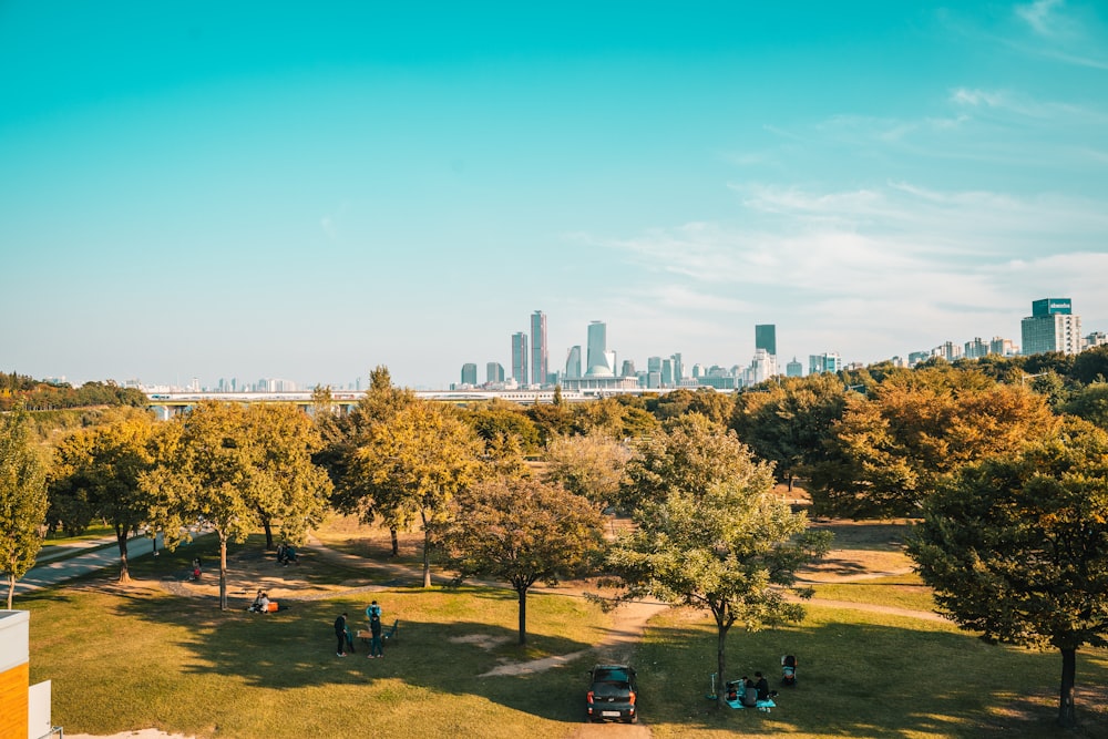 a view of a city skyline from a park